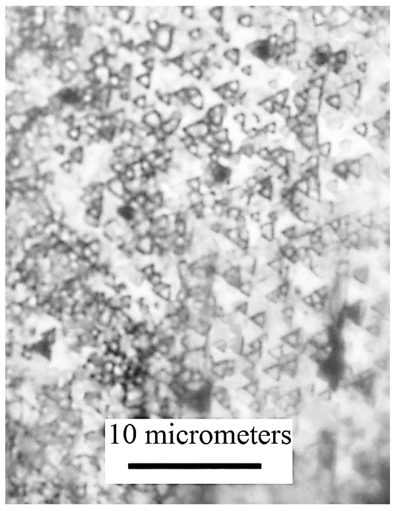 Materials 13 02010 g006 Materials 13 02010 g006