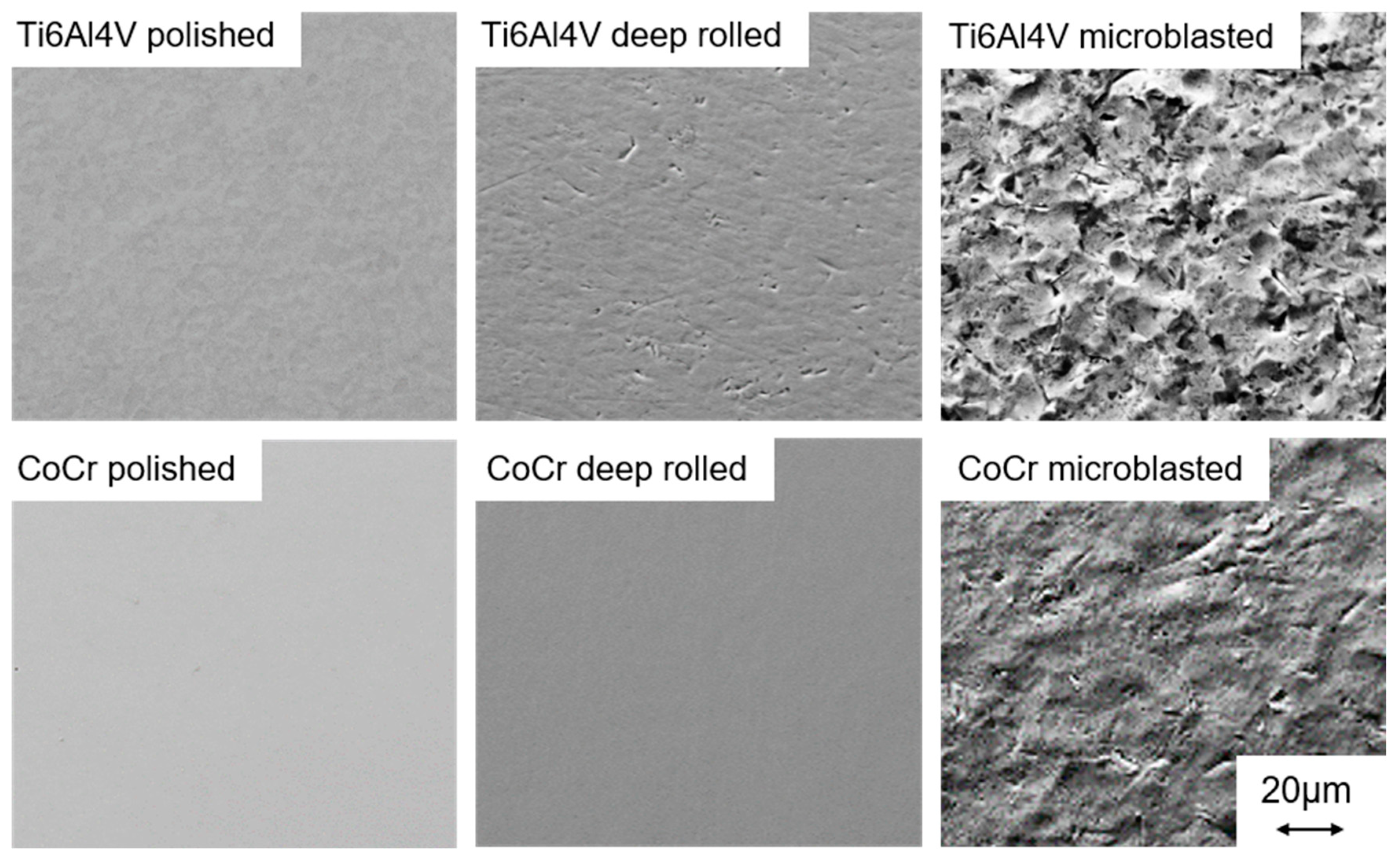 Materials 13 02011 g002