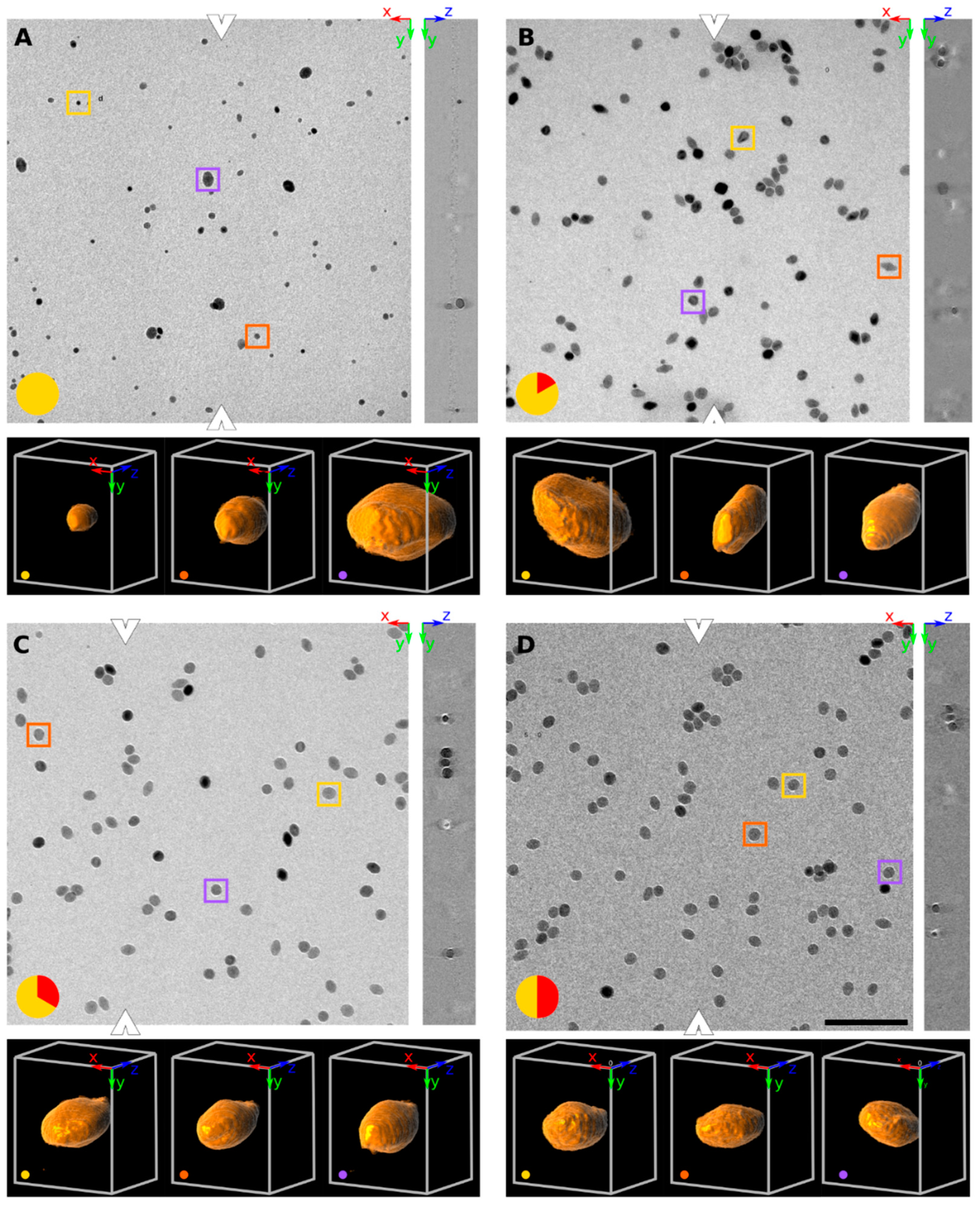 Materials 13 02018 g001