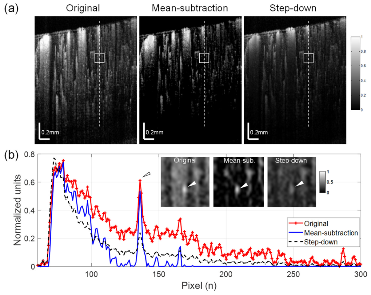 Materials 13 02024 g004 Materials 13 02024 g004
