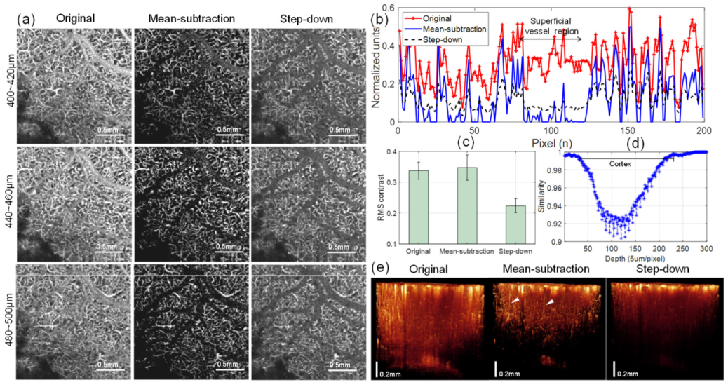 Materials 13 02024 g005 Materials 13 02024 g005