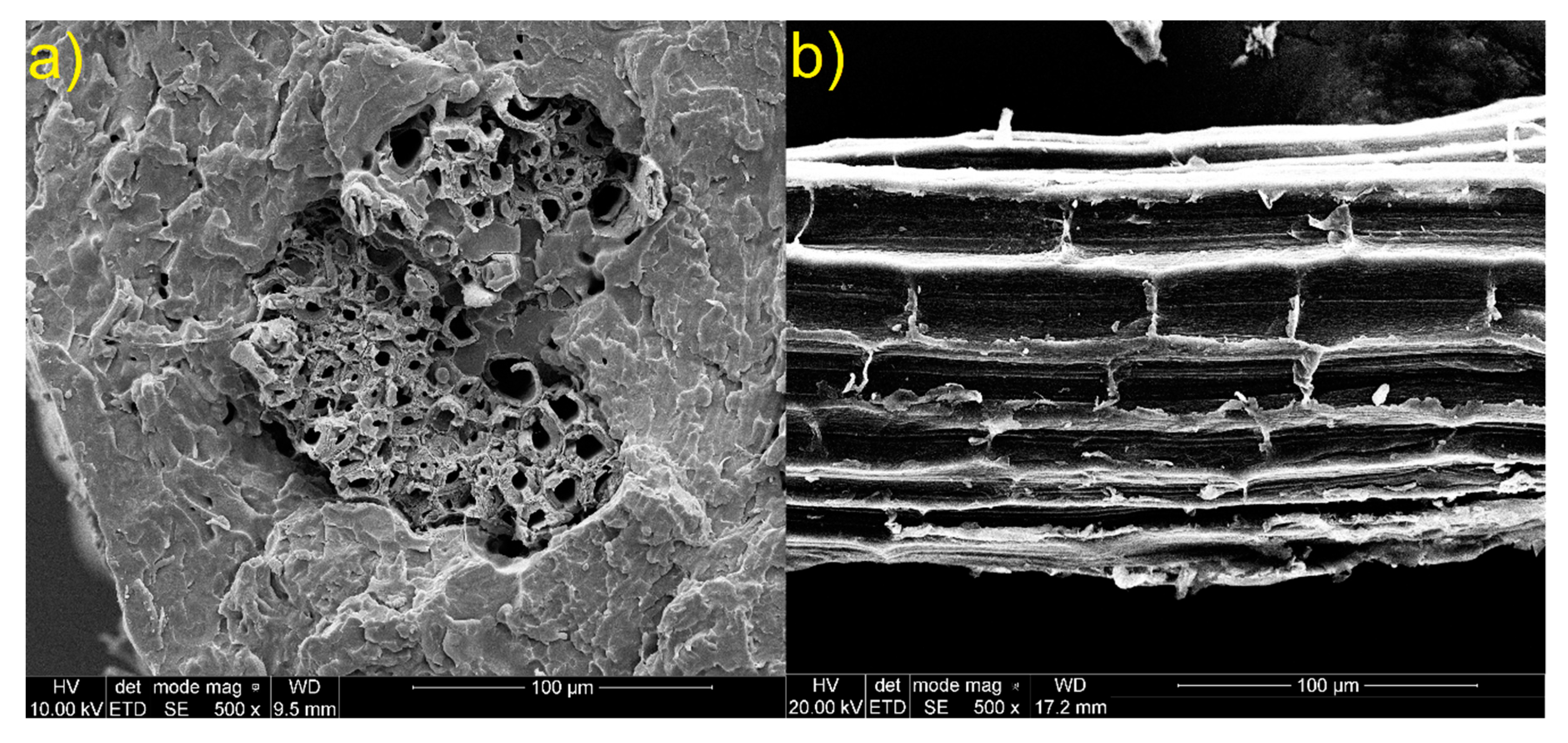 Materials 13 02028 g014