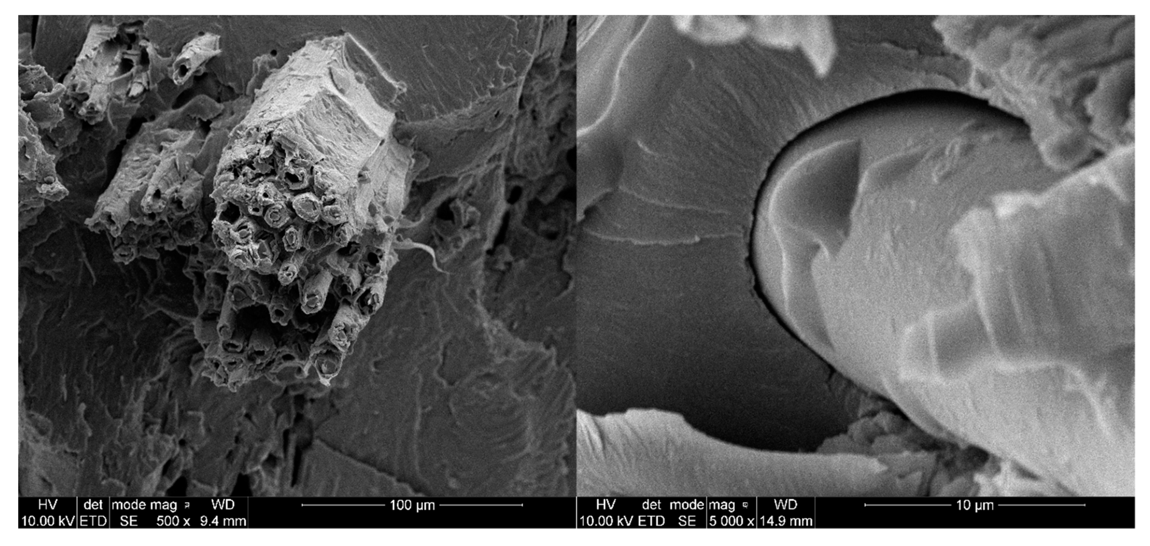 Materials 13 02028 g018