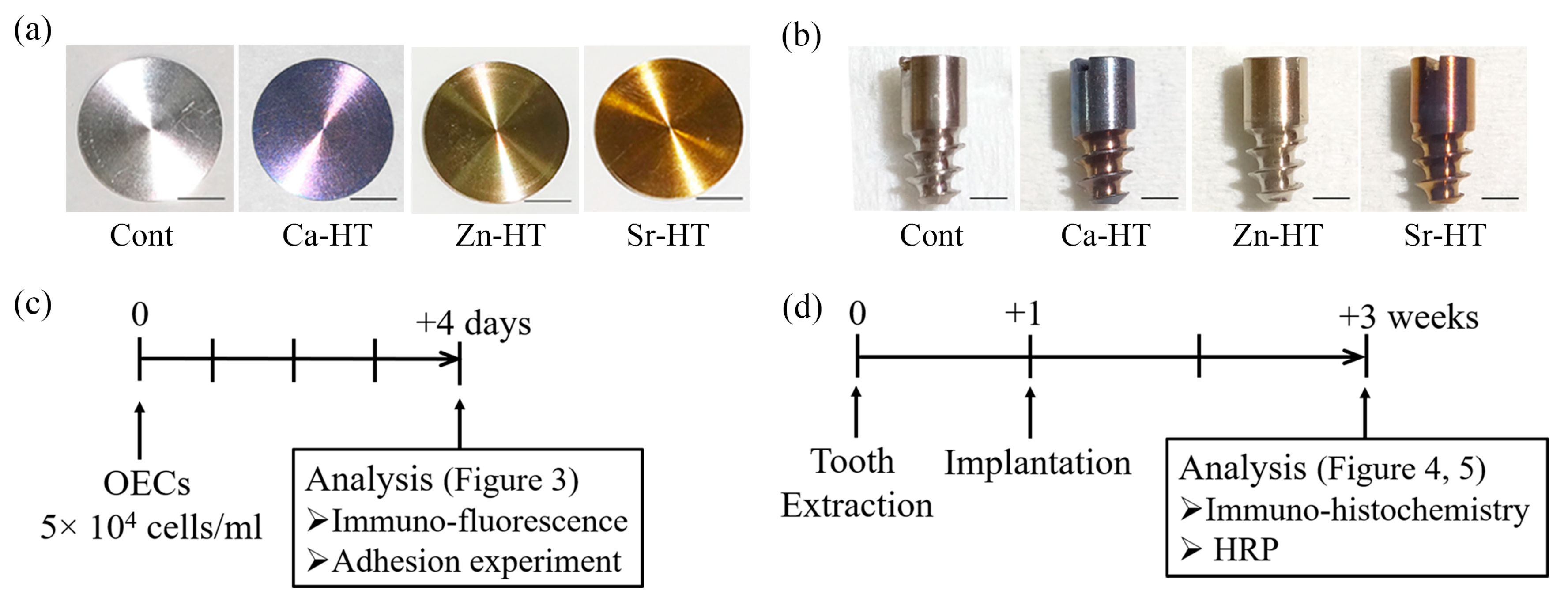 Materials 13 02038 g001 Materials 13 02038 g001