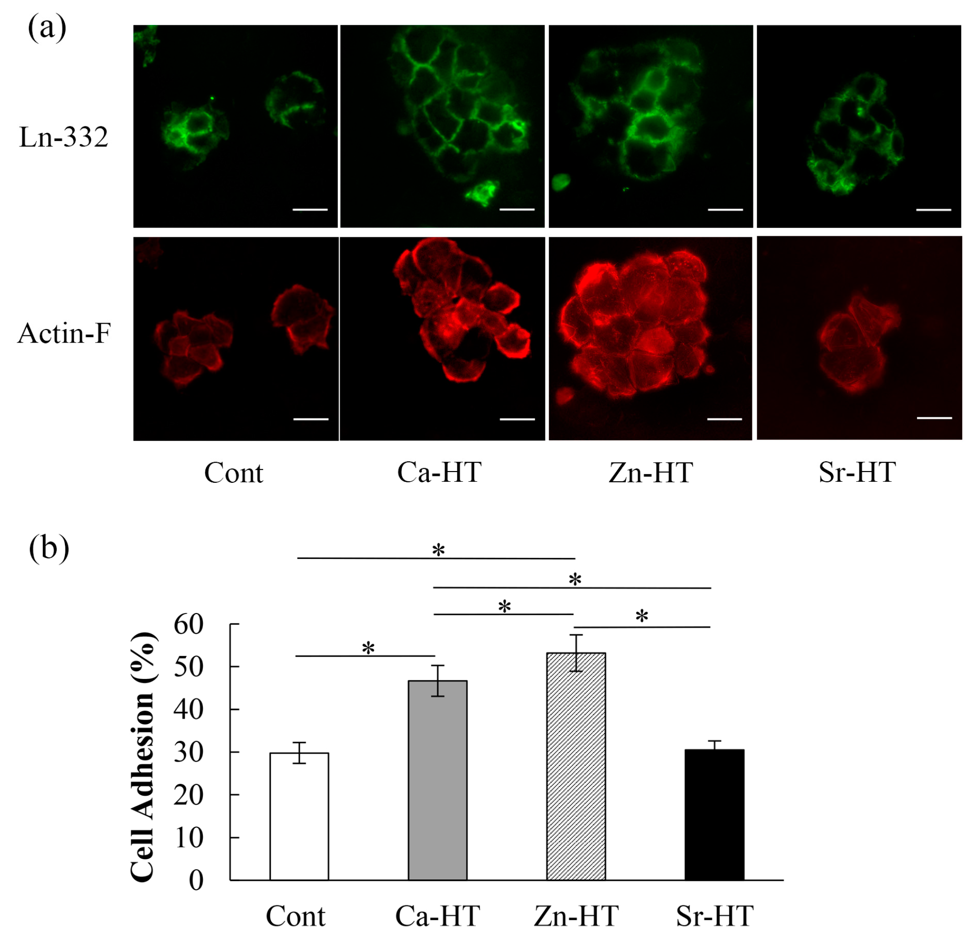 Materials 13 02038 g003 Materials 13 02038 g003