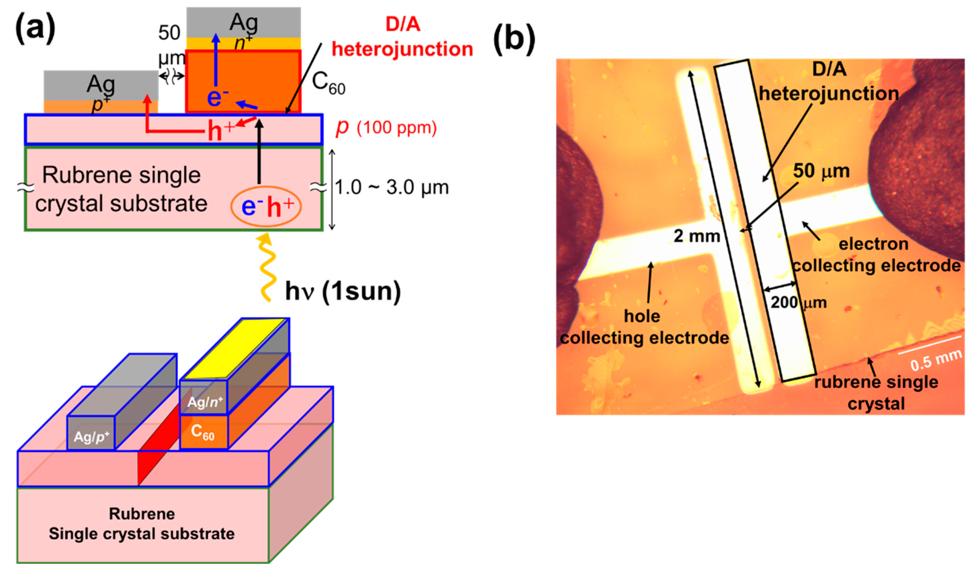 Materials 13 02068 g001