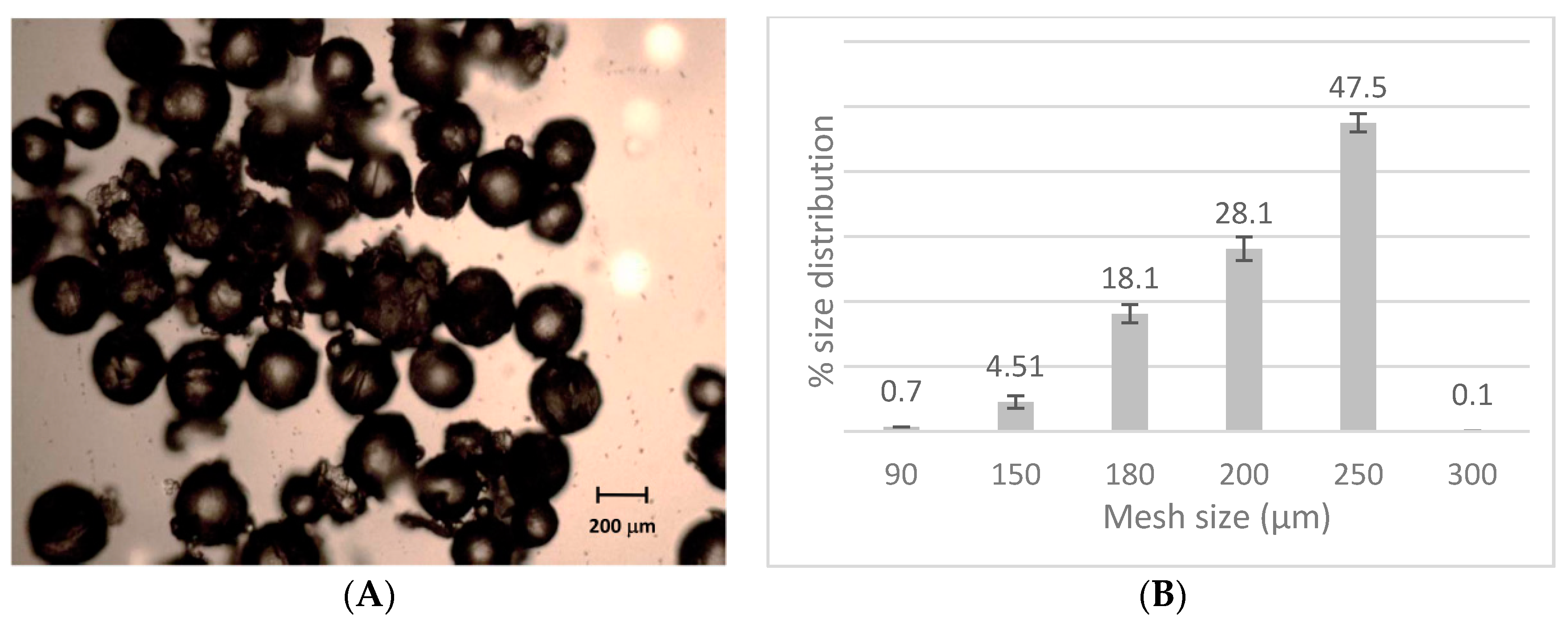 Materials 13 02073 g001 Materials 13 02073 g001