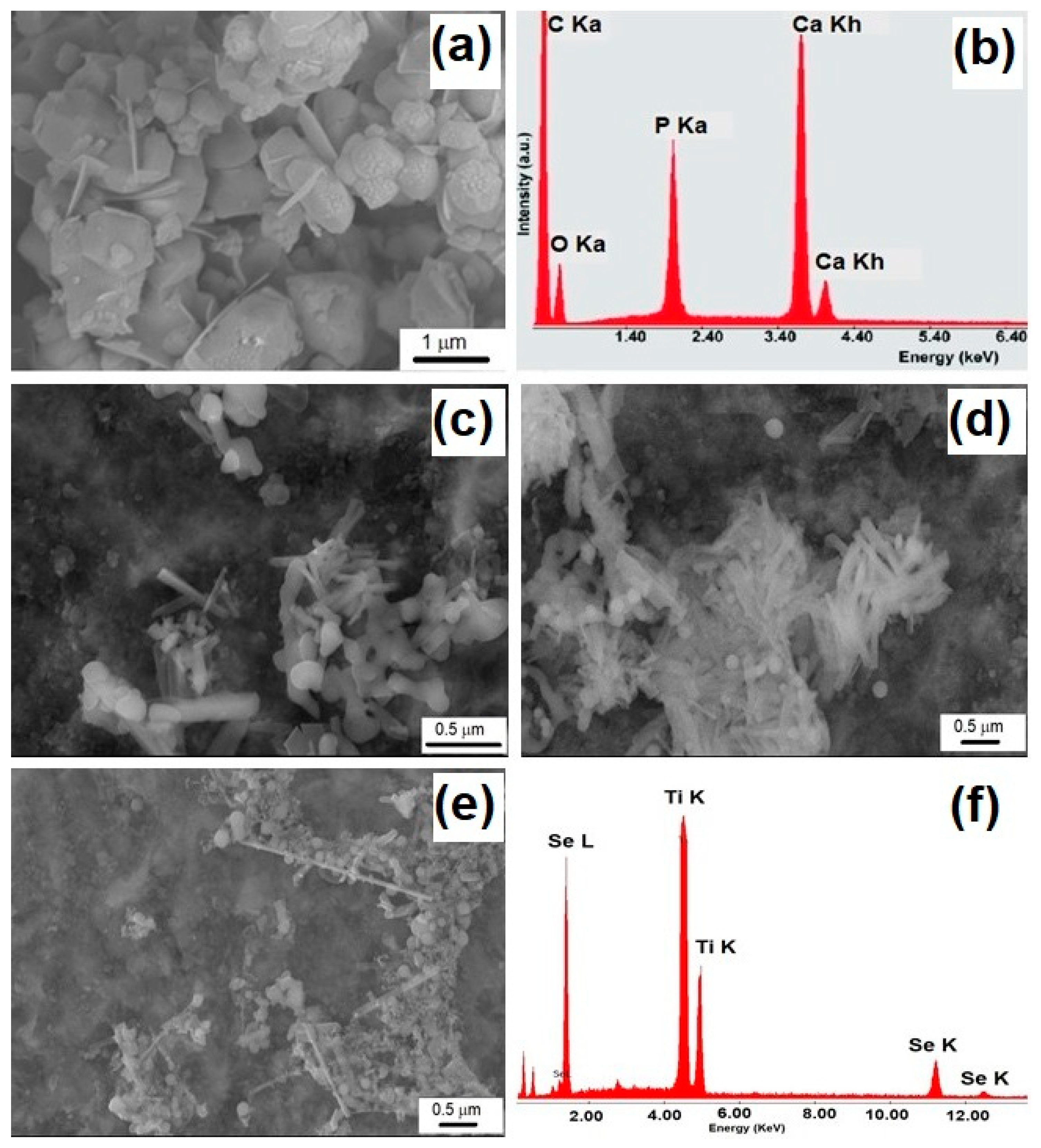 Materials 13 02077 g001
