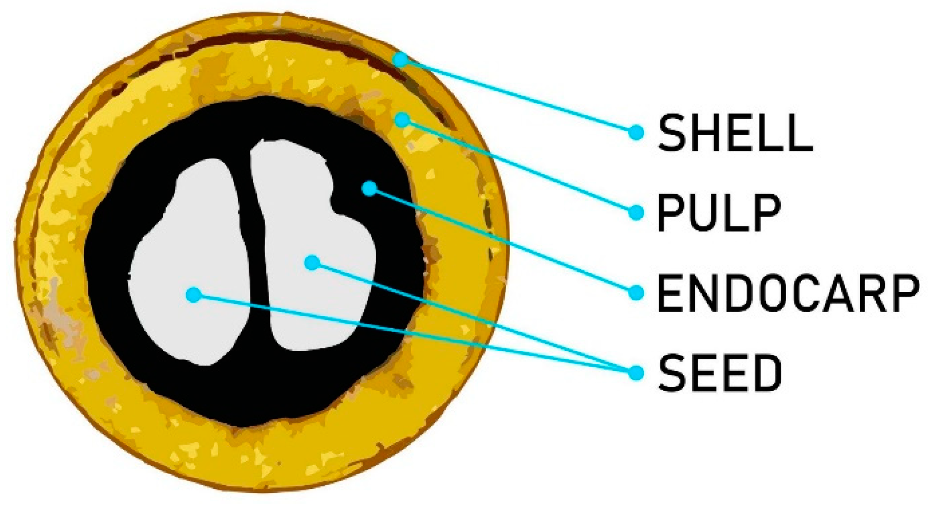 Materials 13 02081 g001