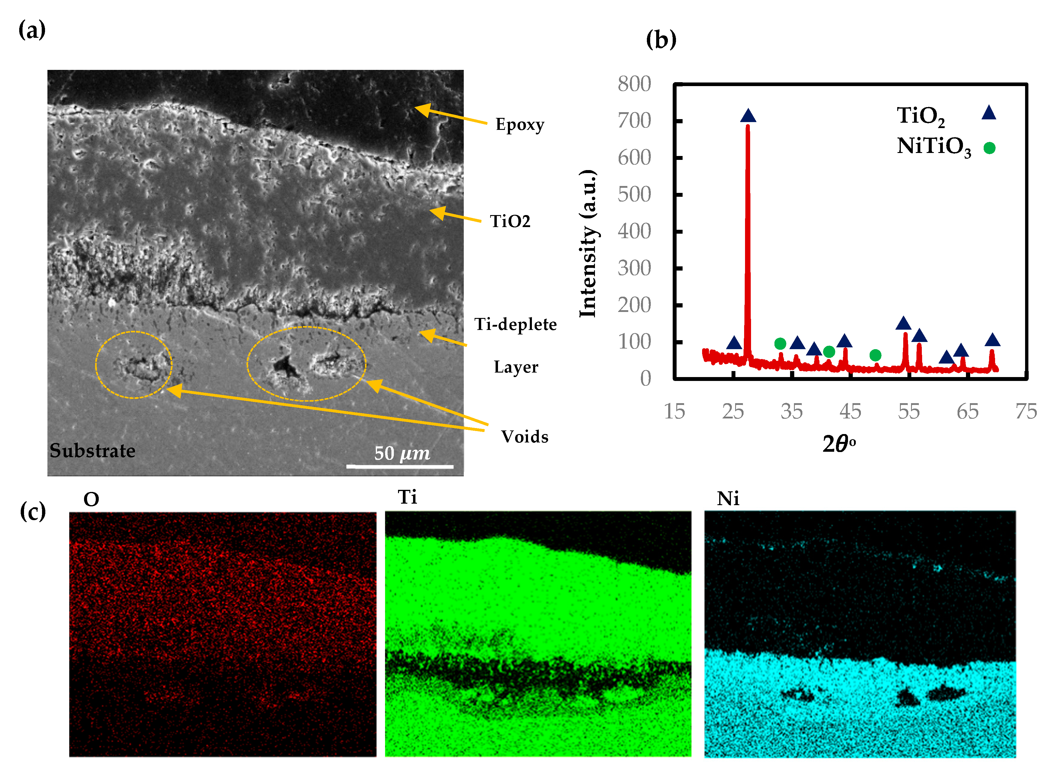 Materials 13 02104 g009 Materials 13 02104 g009