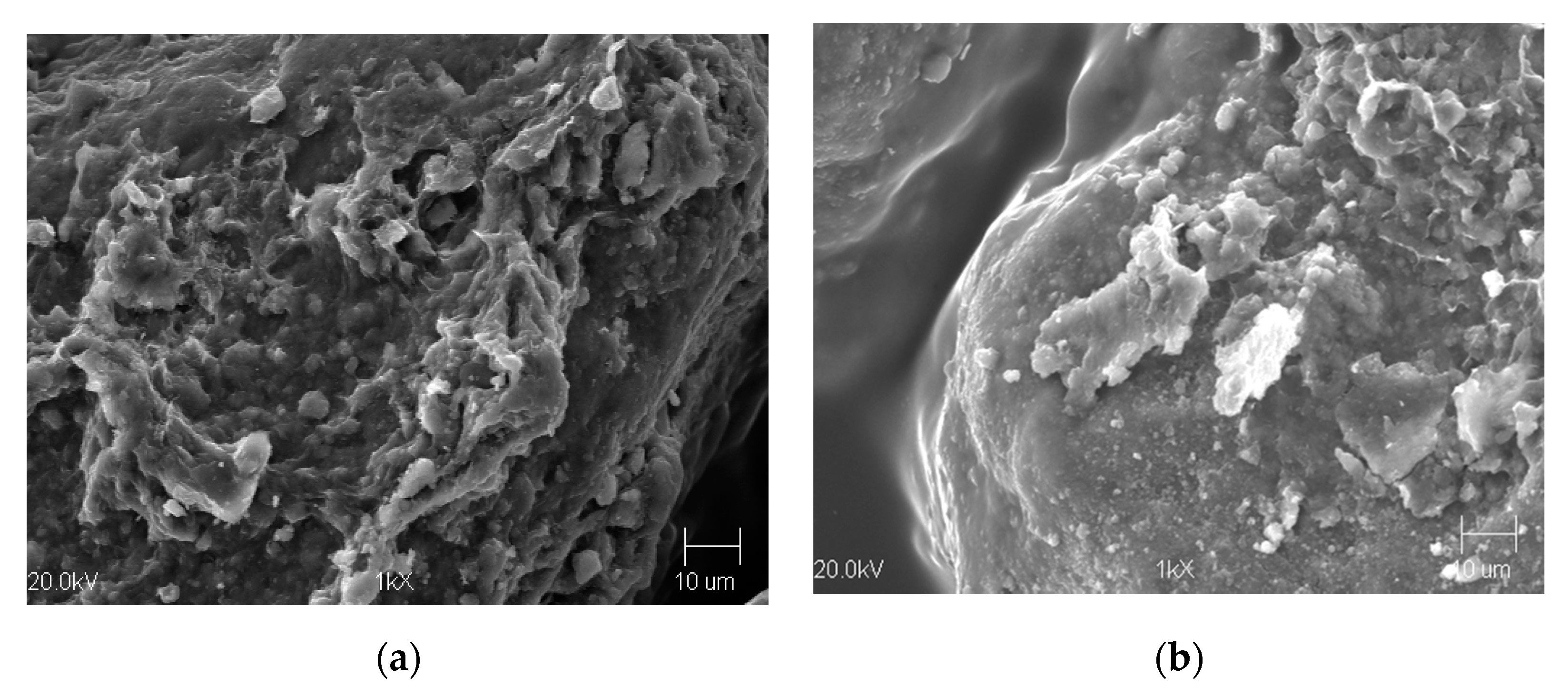 Materials 13 02134 g004