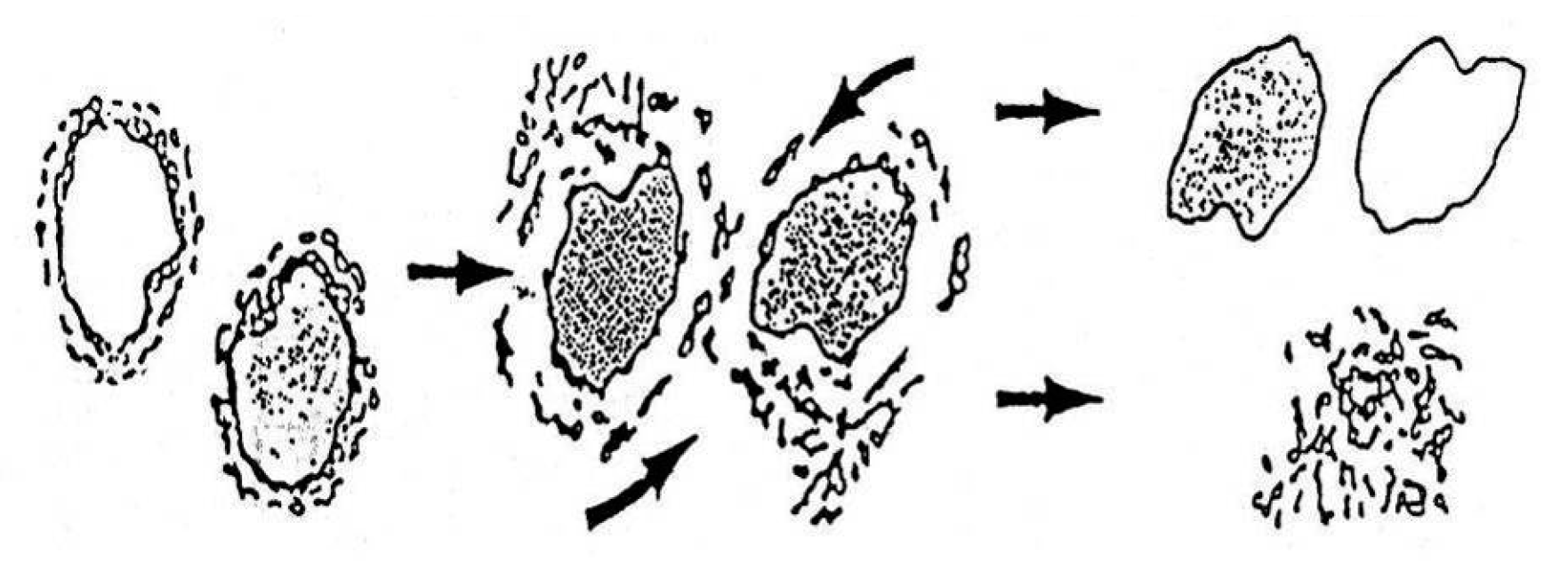 Materials 13 02134 g0a4