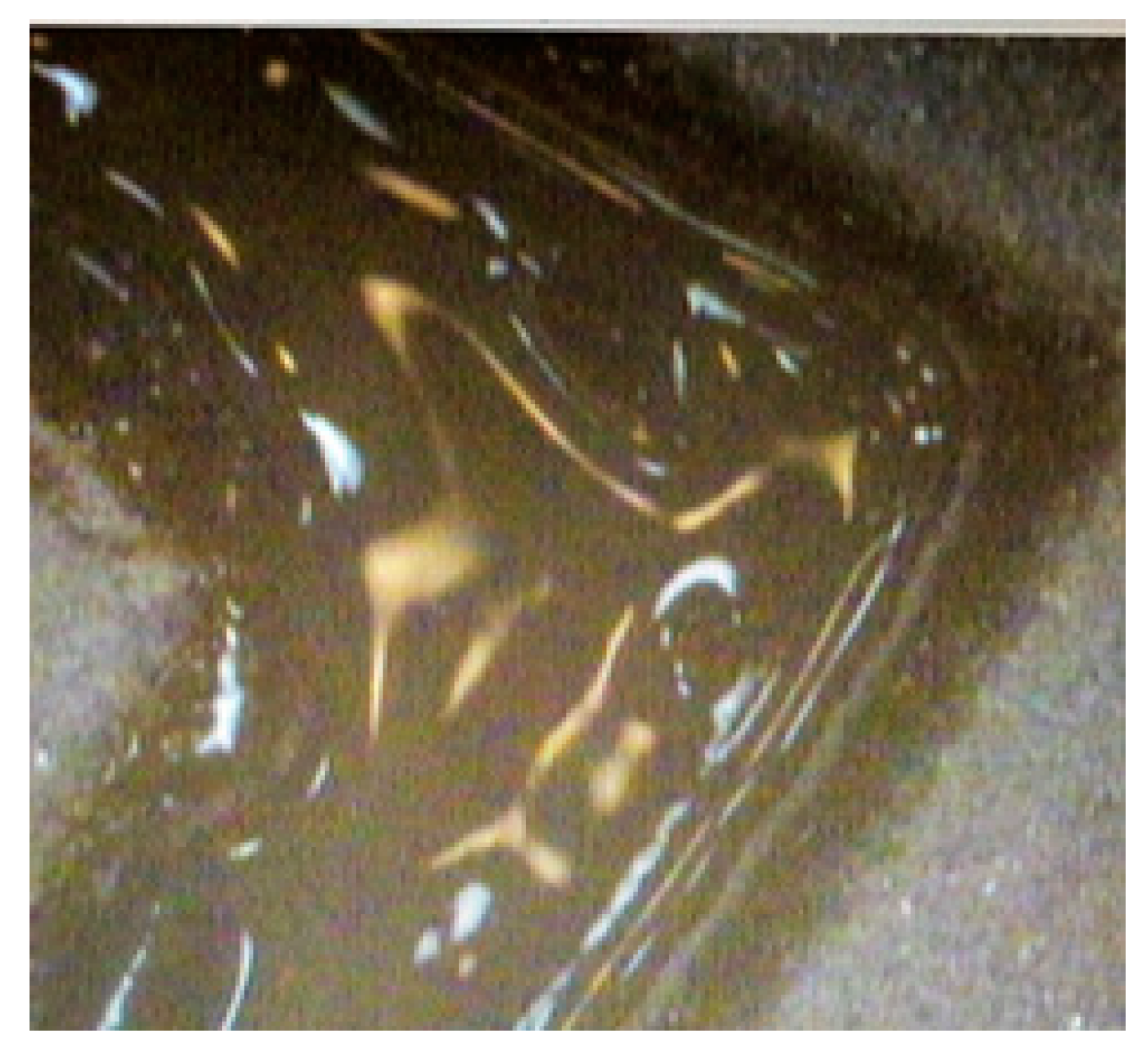 Materials 13 02156 g006 Materials 13 02156 g006