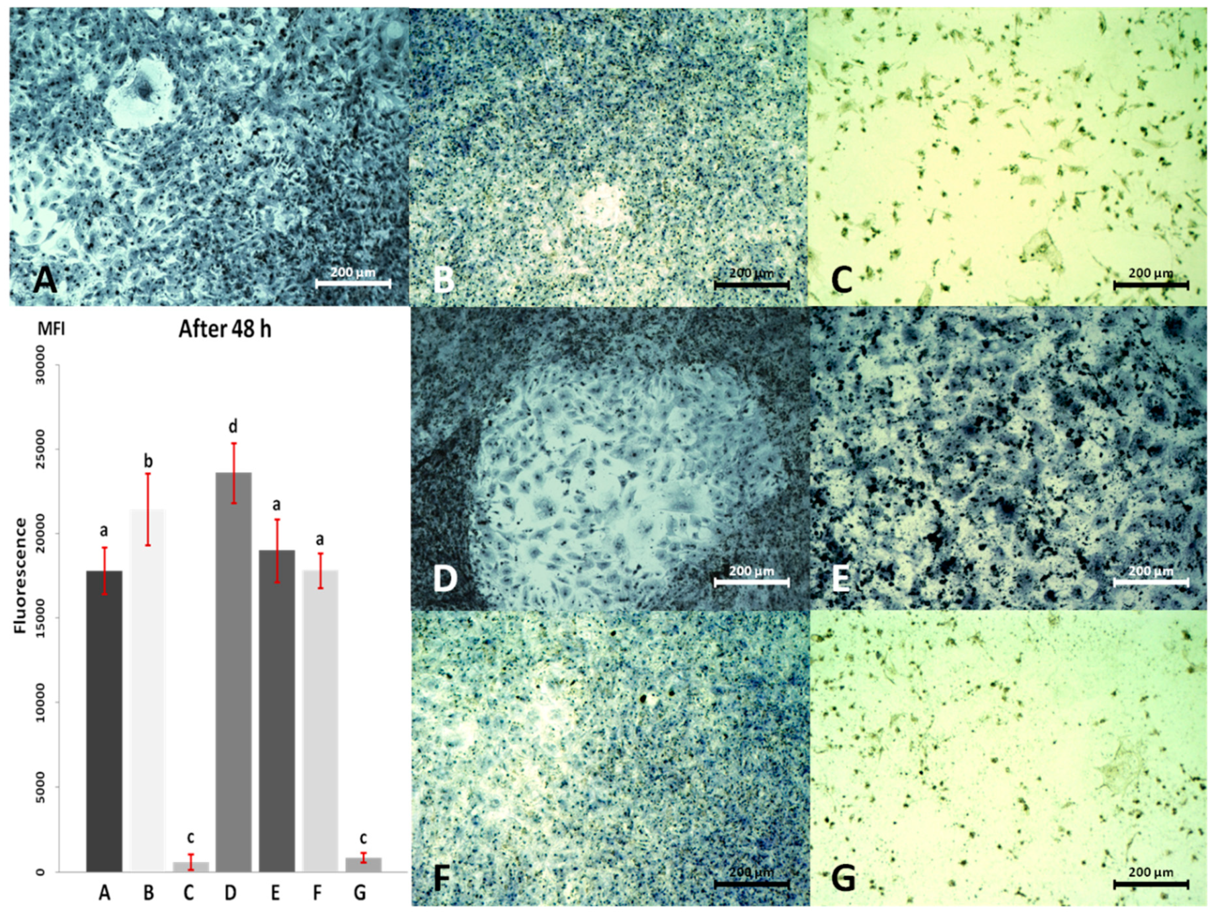 Materials 13 02159 g006