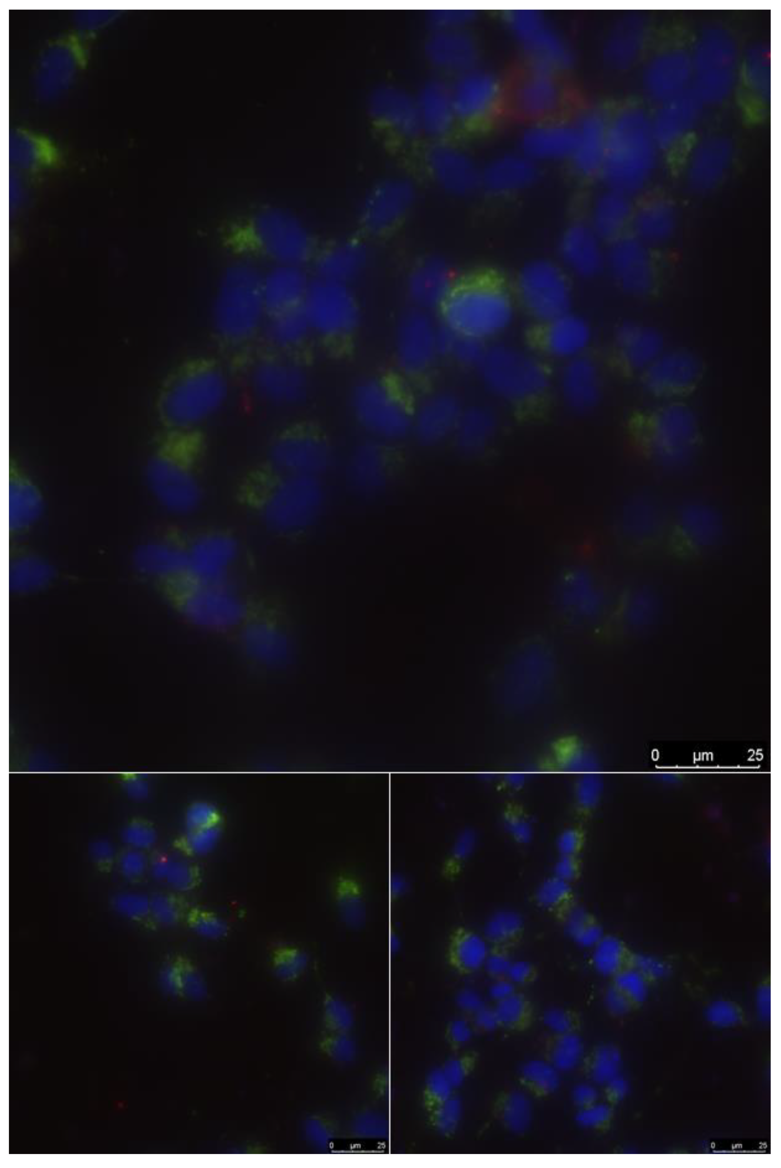 Materials 13 02187 g014 Materials 13 02187 g014