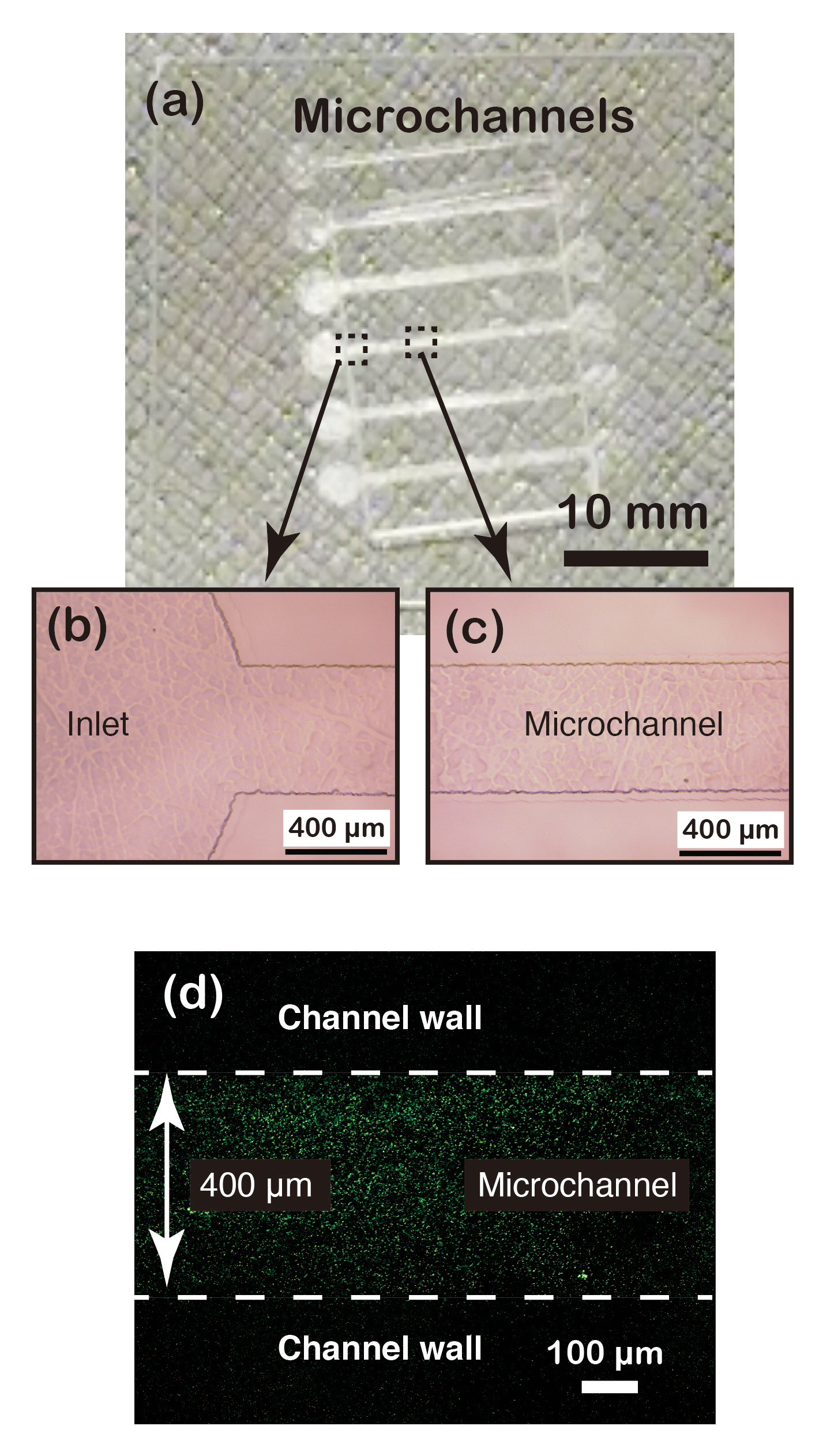 Materials 13 02206 g006 Materials 13 02206 g006