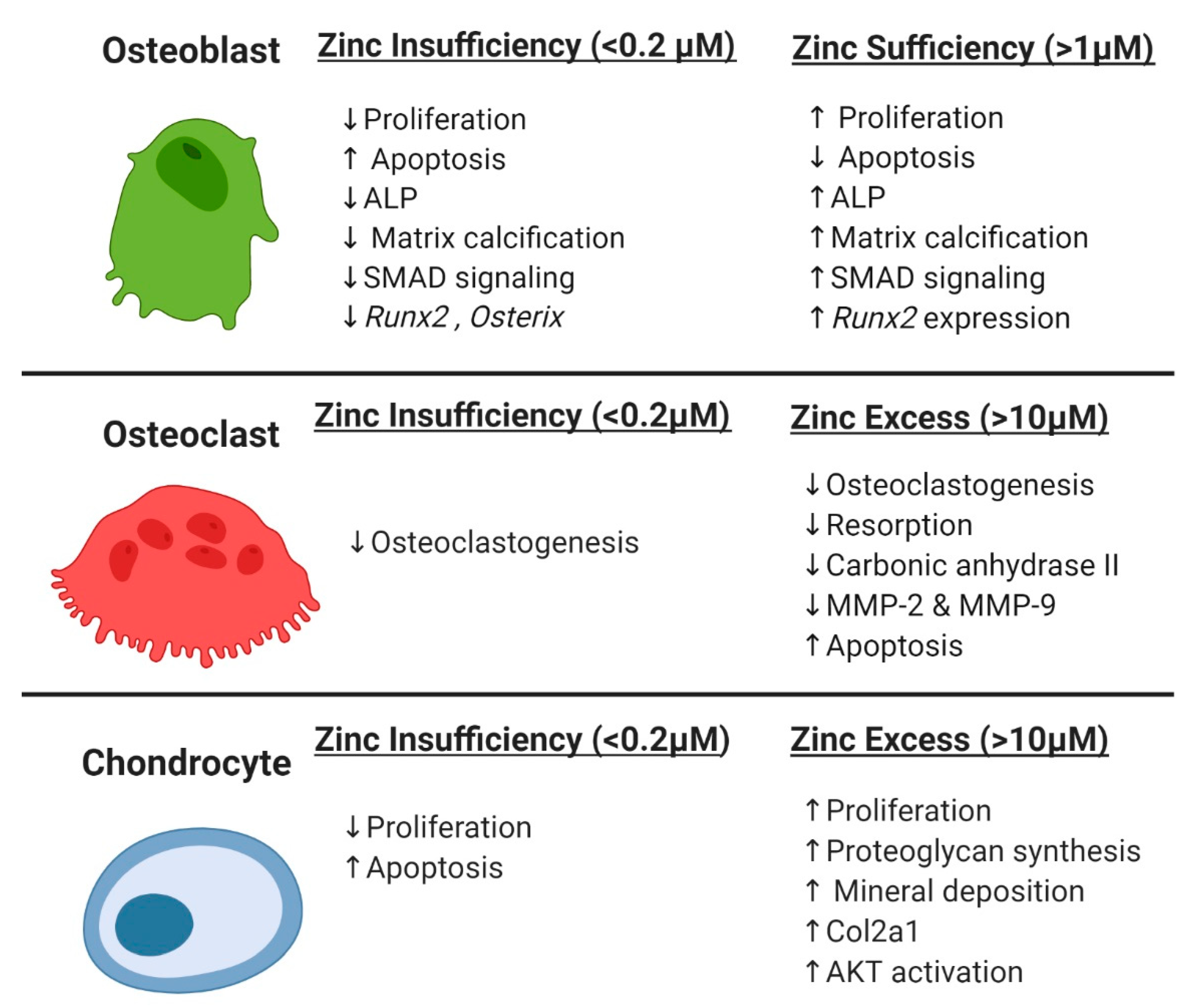 Materials 13 02211 g002