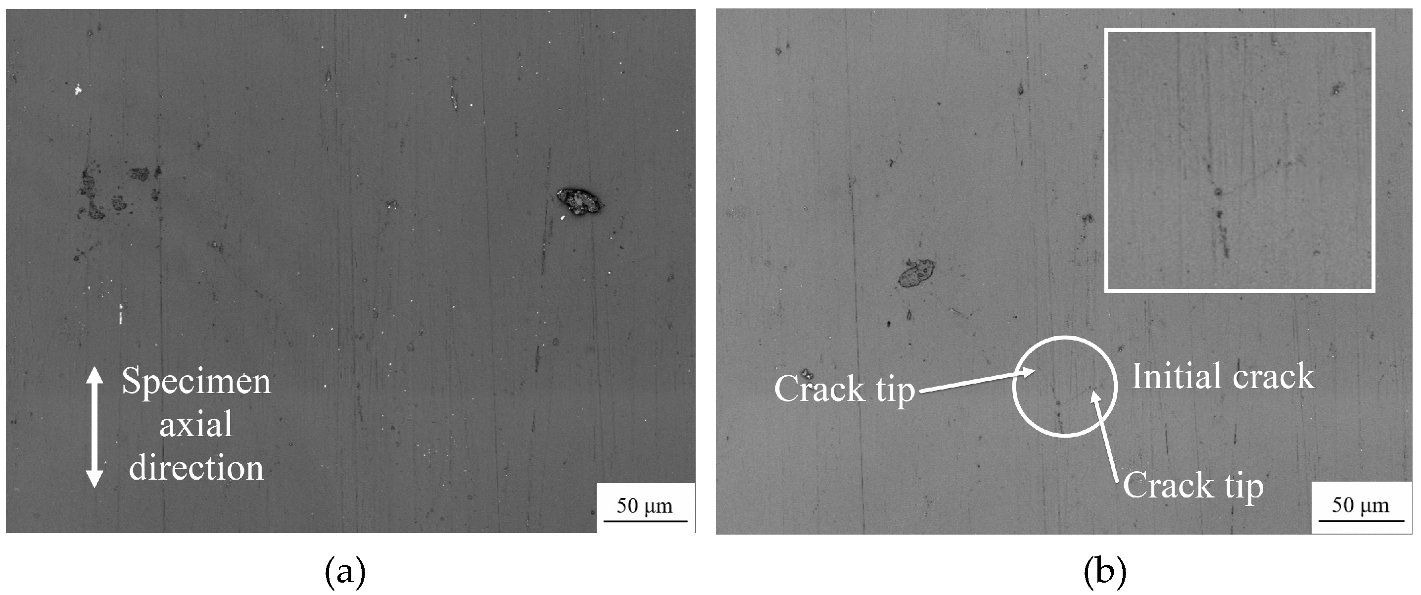 Materials 13 02228 g004a Materials 13 02228 g004a
