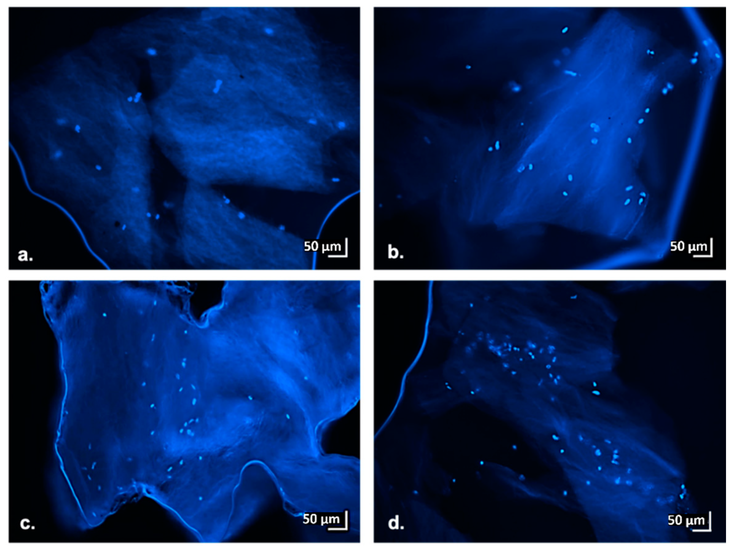 Materials 13 02231 g009