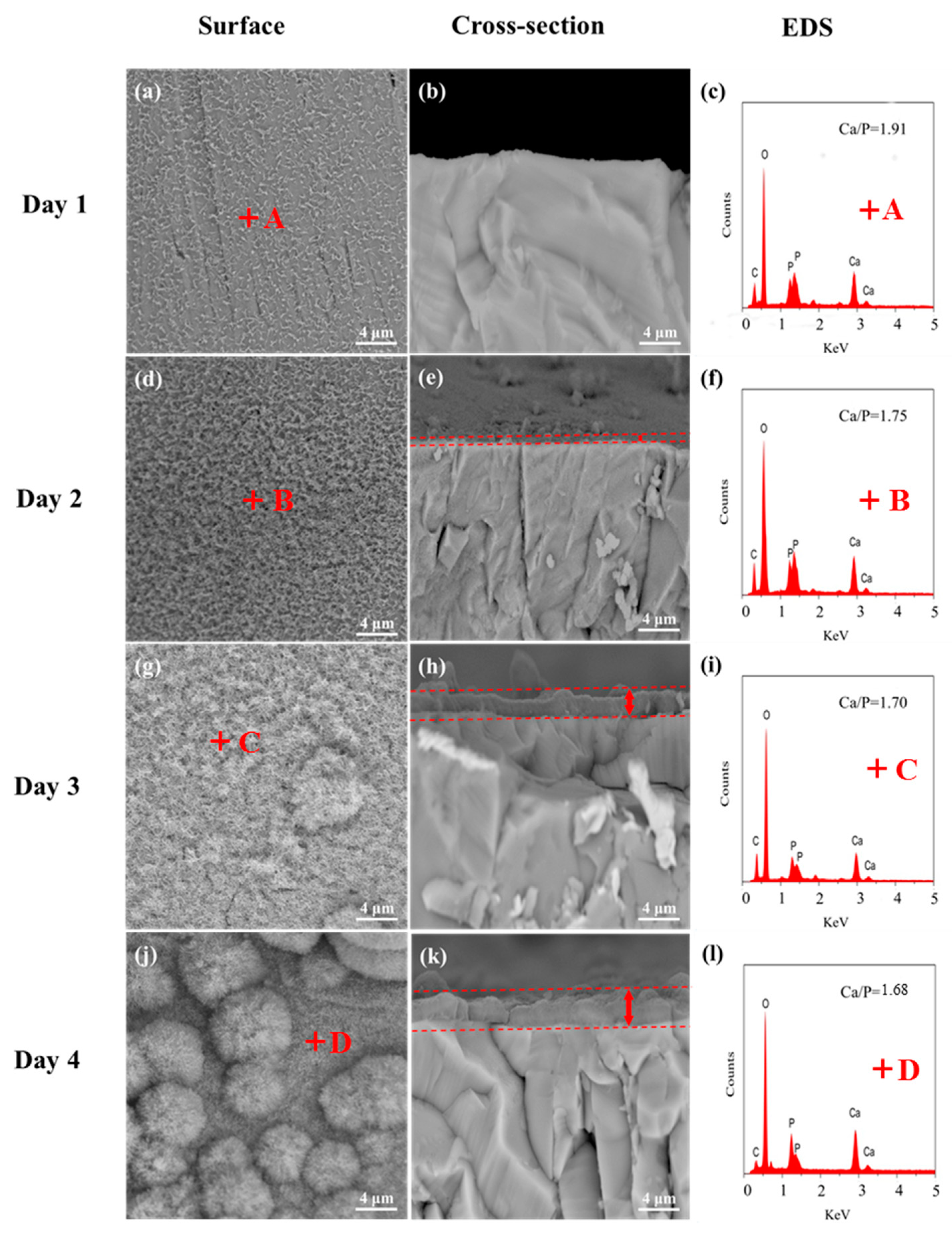 Materials 13 02268 g005 Materials 13 02268 g005