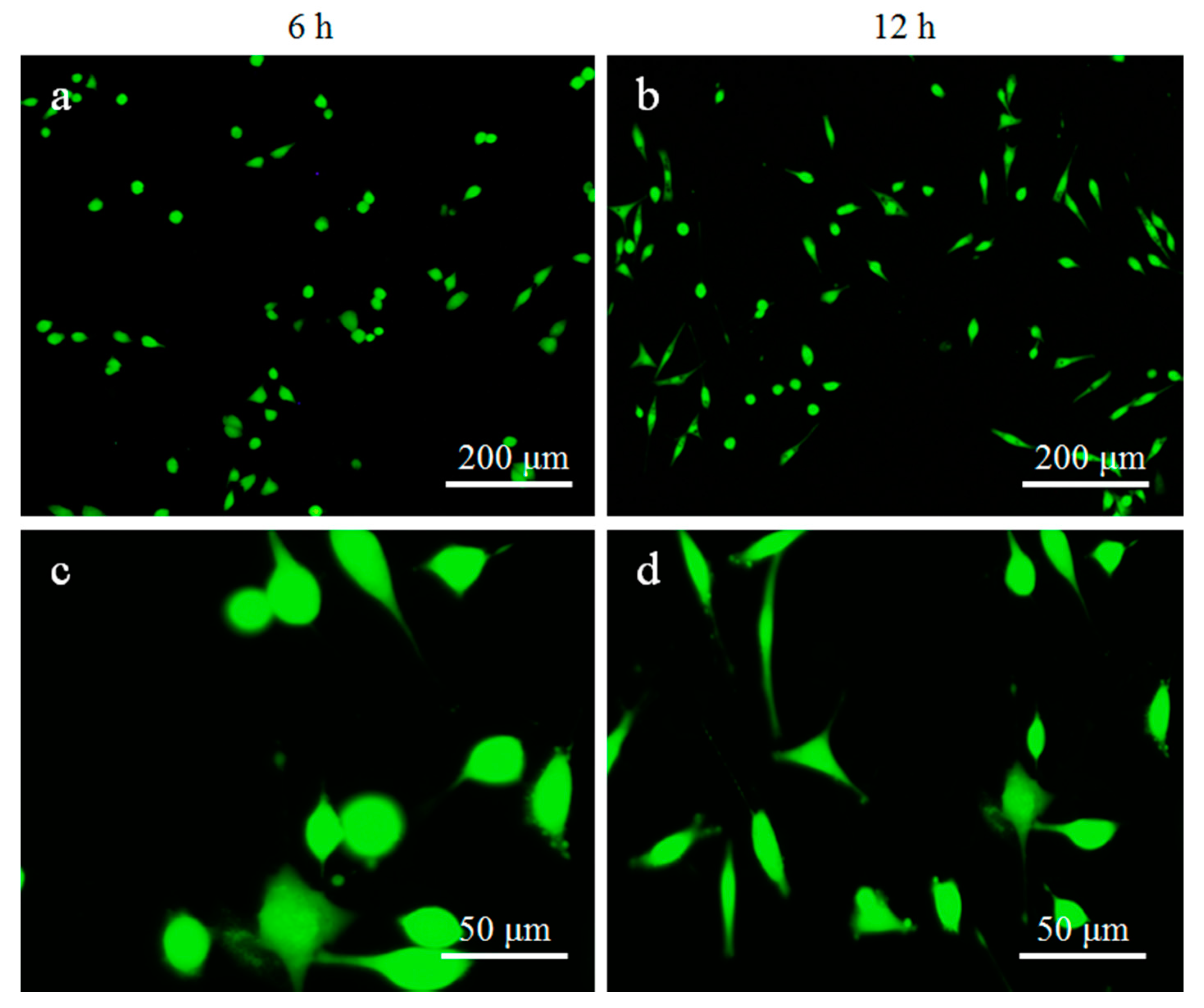 Materials 13 02268 g009 Materials 13 02268 g009