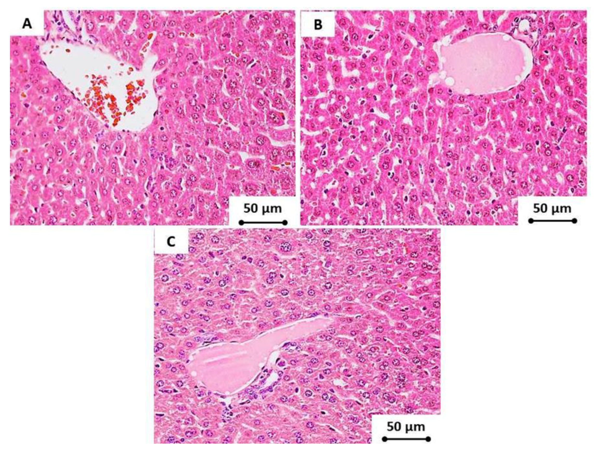 Materials 13 02275 g008