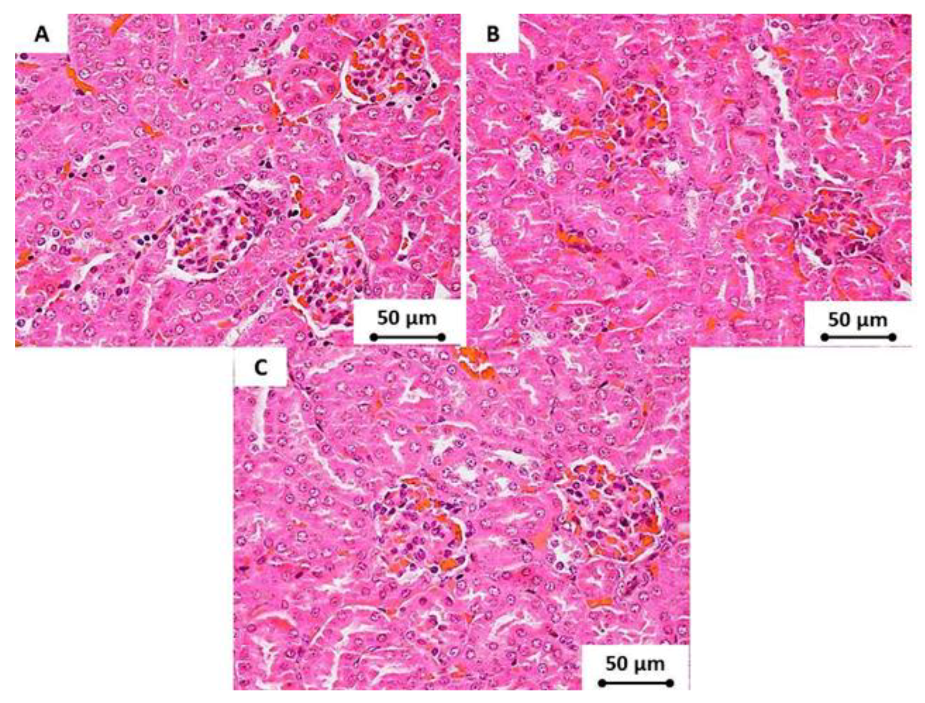 Materials 13 02275 g009