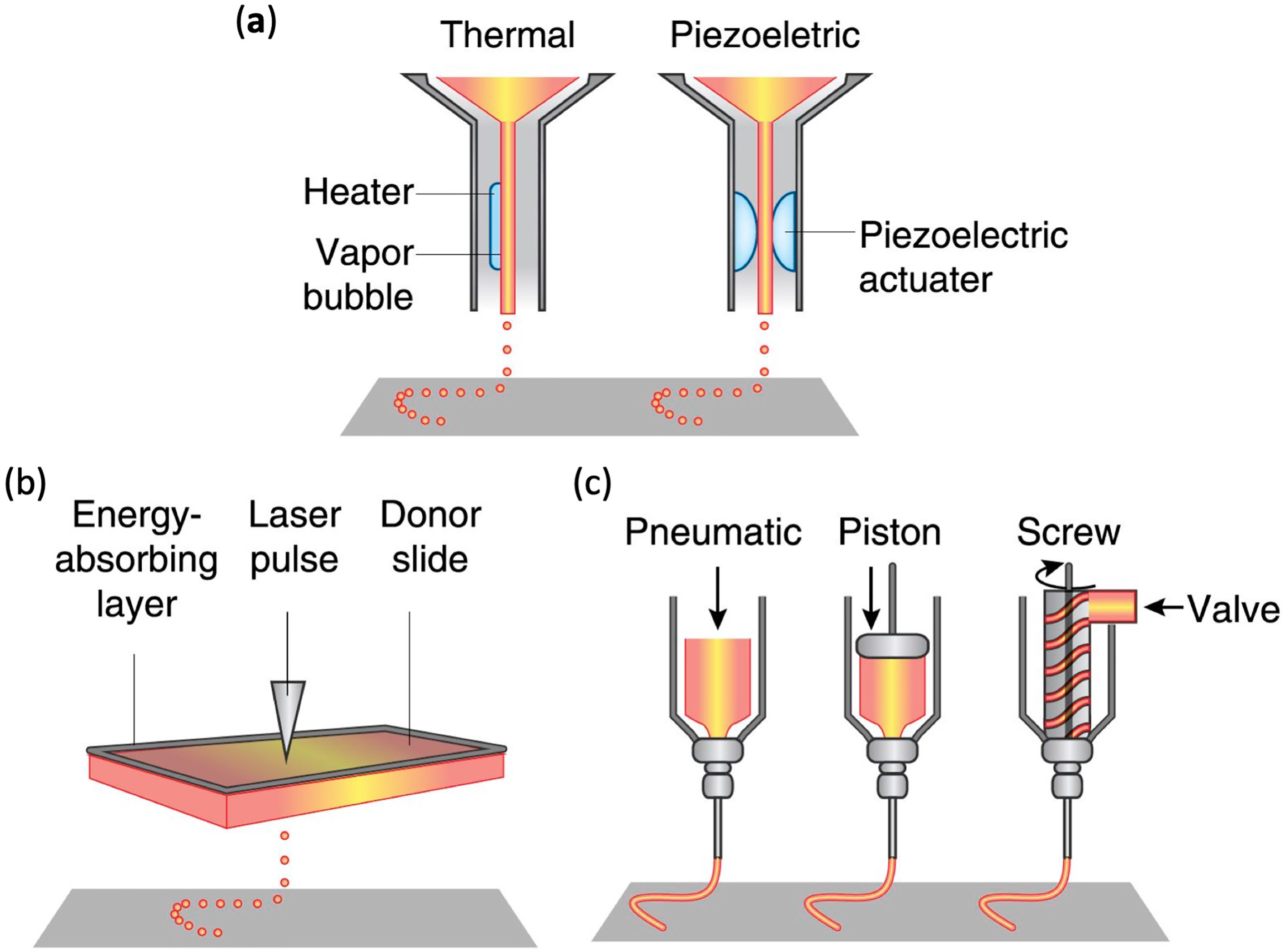 Materials 13 02278 g003