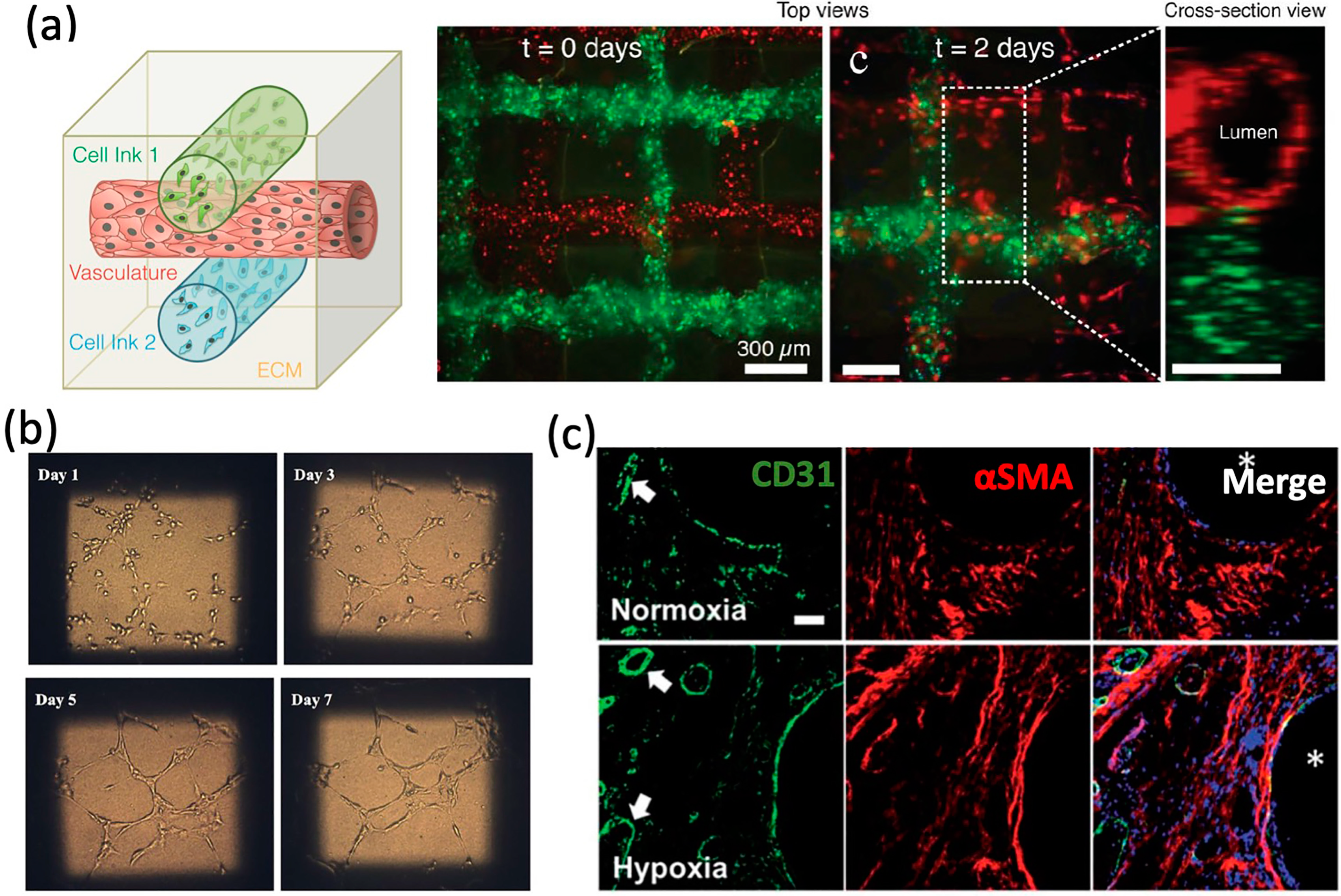 Materials 13 02278 g004