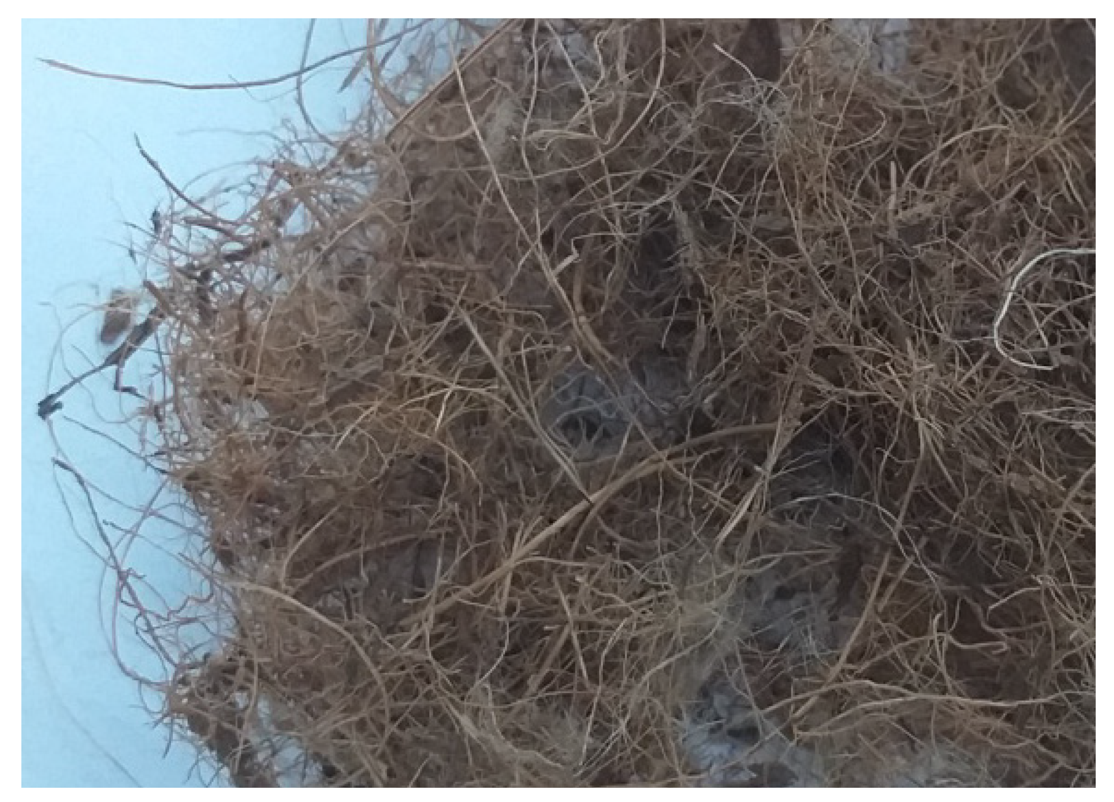 Materials 13 02279 g005 Materials 13 02279 g005