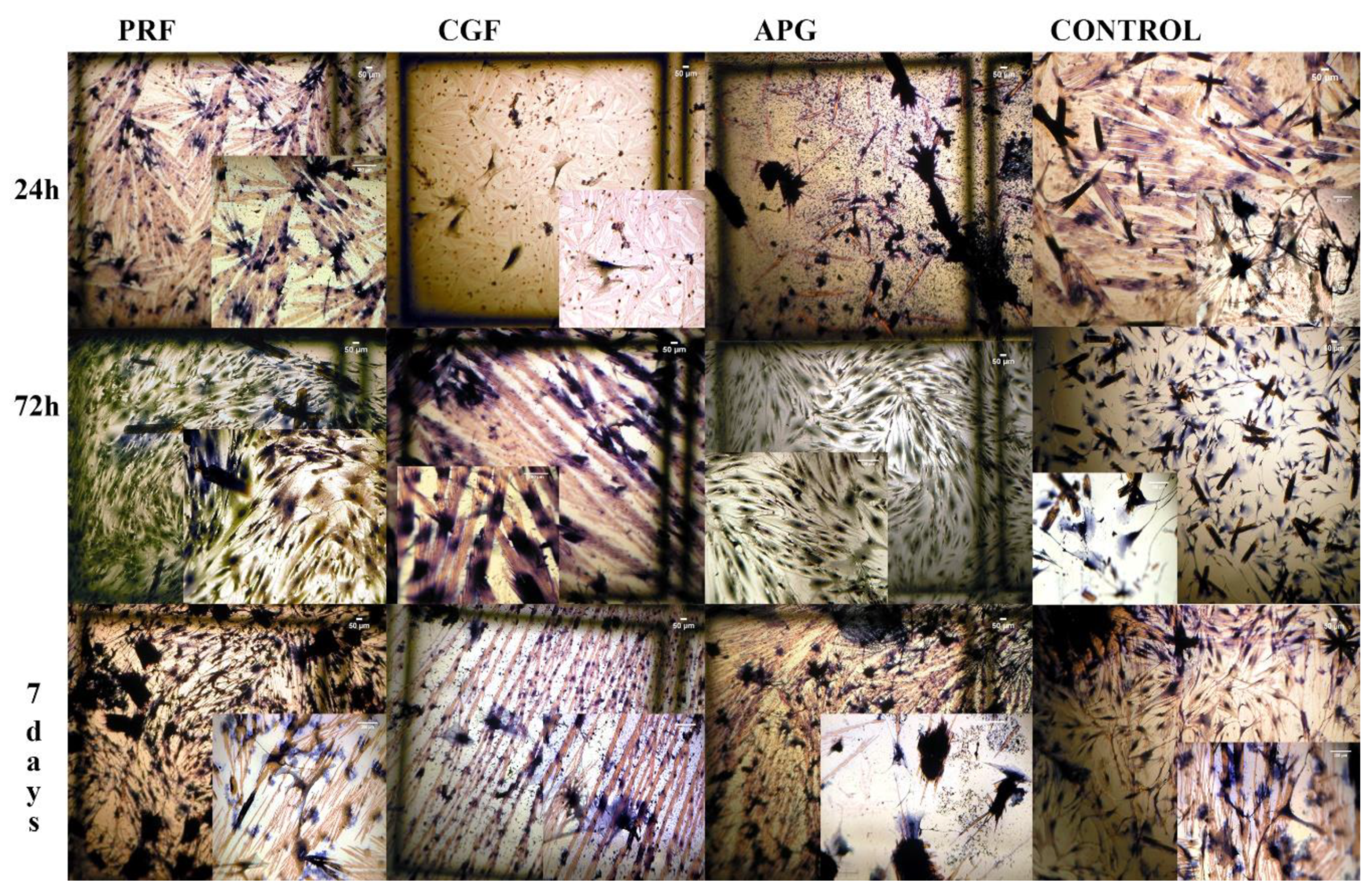 Materials 13 02282 g002 Materials 13 02282 g002