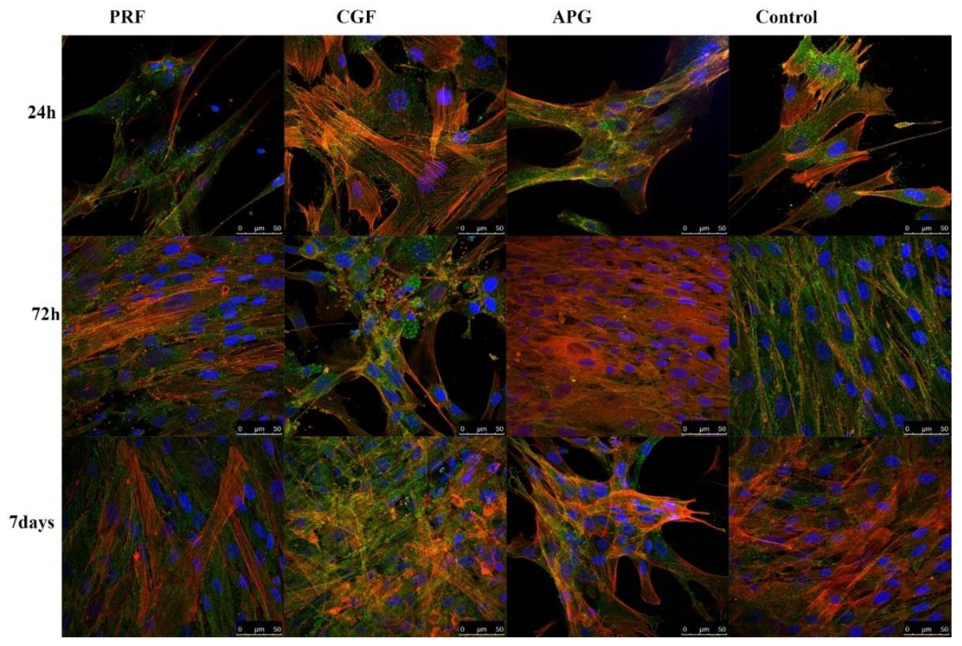 Materials 13 02282 g004 Materials 13 02282 g004