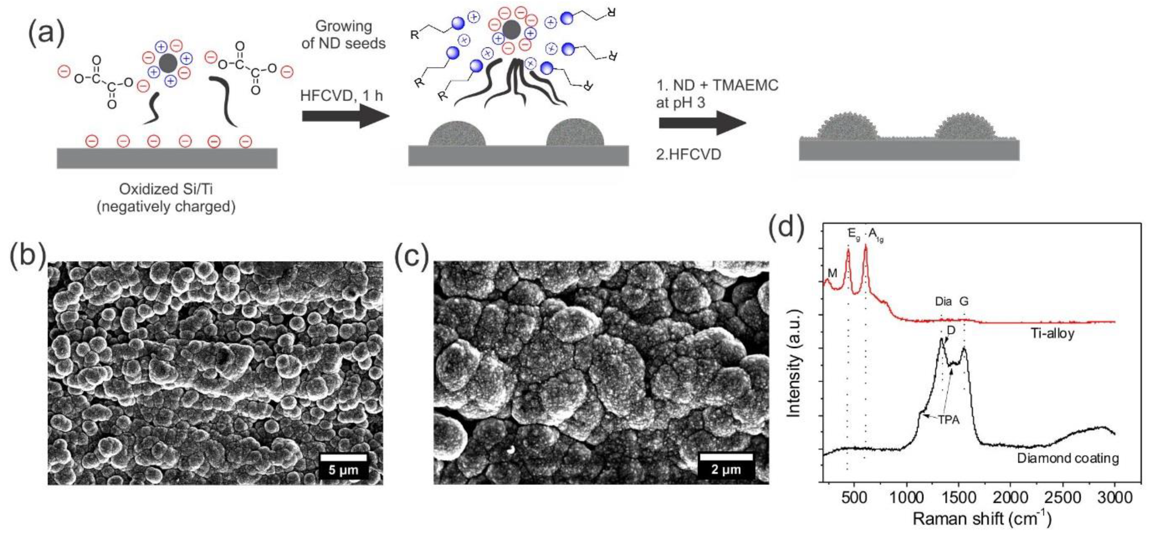 Materials 13 02283 g001 Materials 13 02283 g001