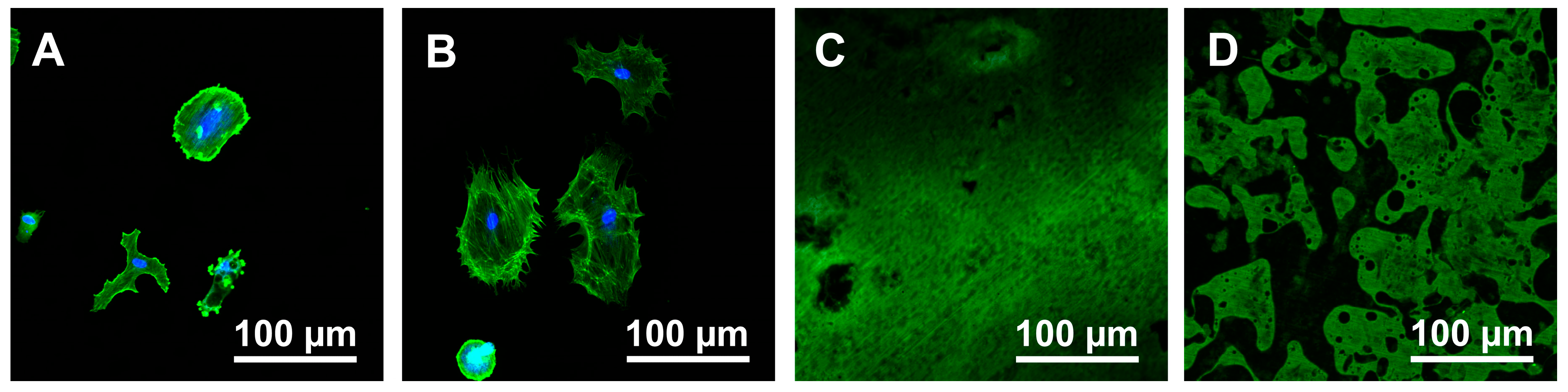 Materials 13 02287 g005