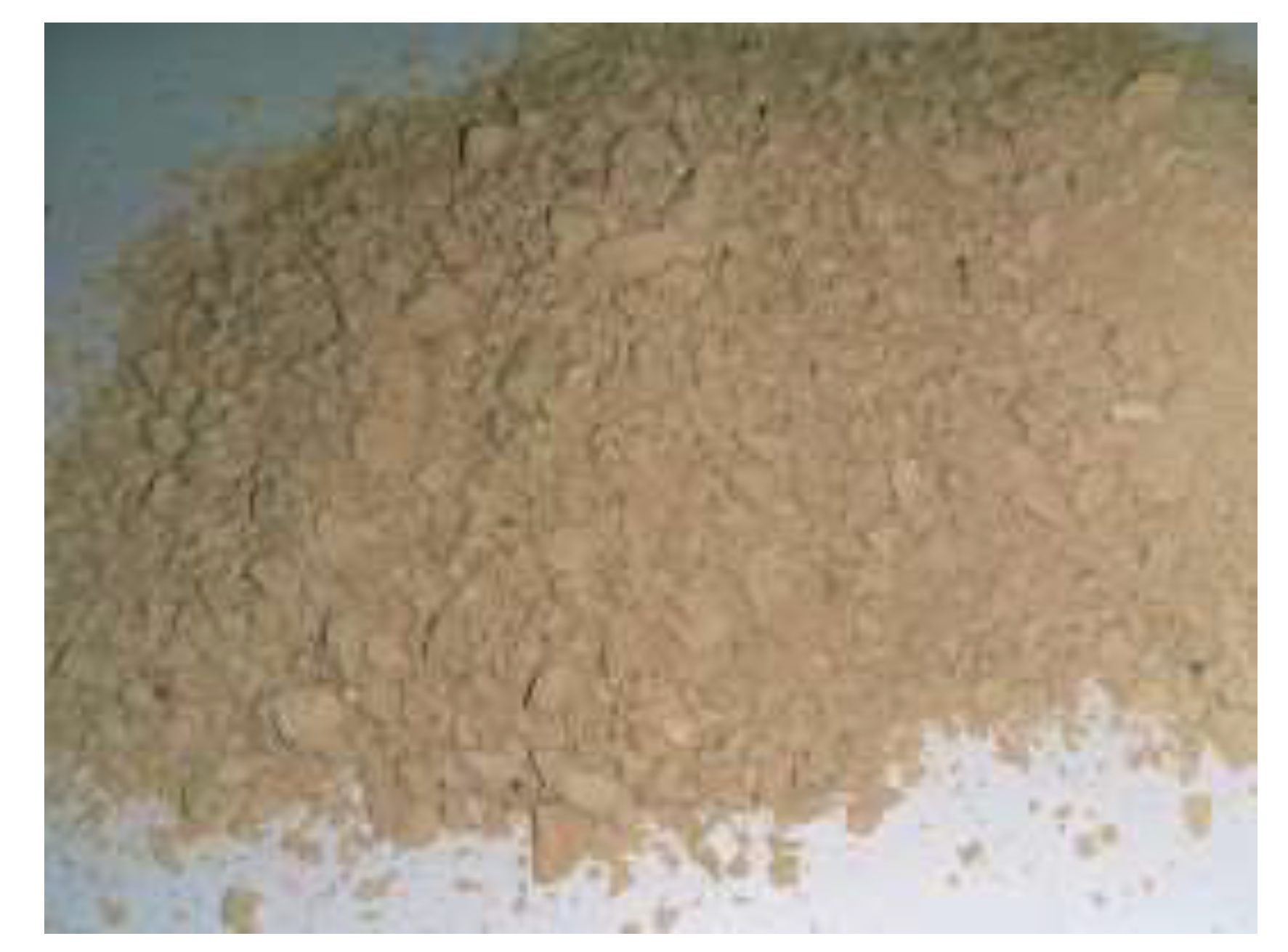 Materials 13 02289 g004 Materials 13 02289 g004