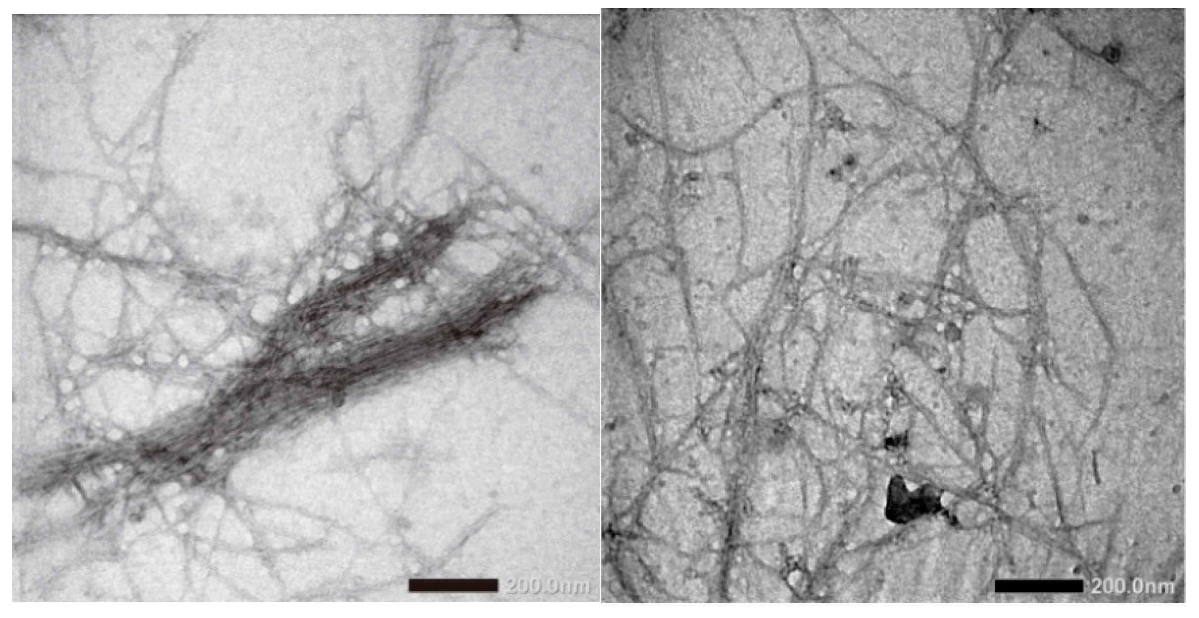 Materials 13 02290 g003 Materials 13 02290 g003