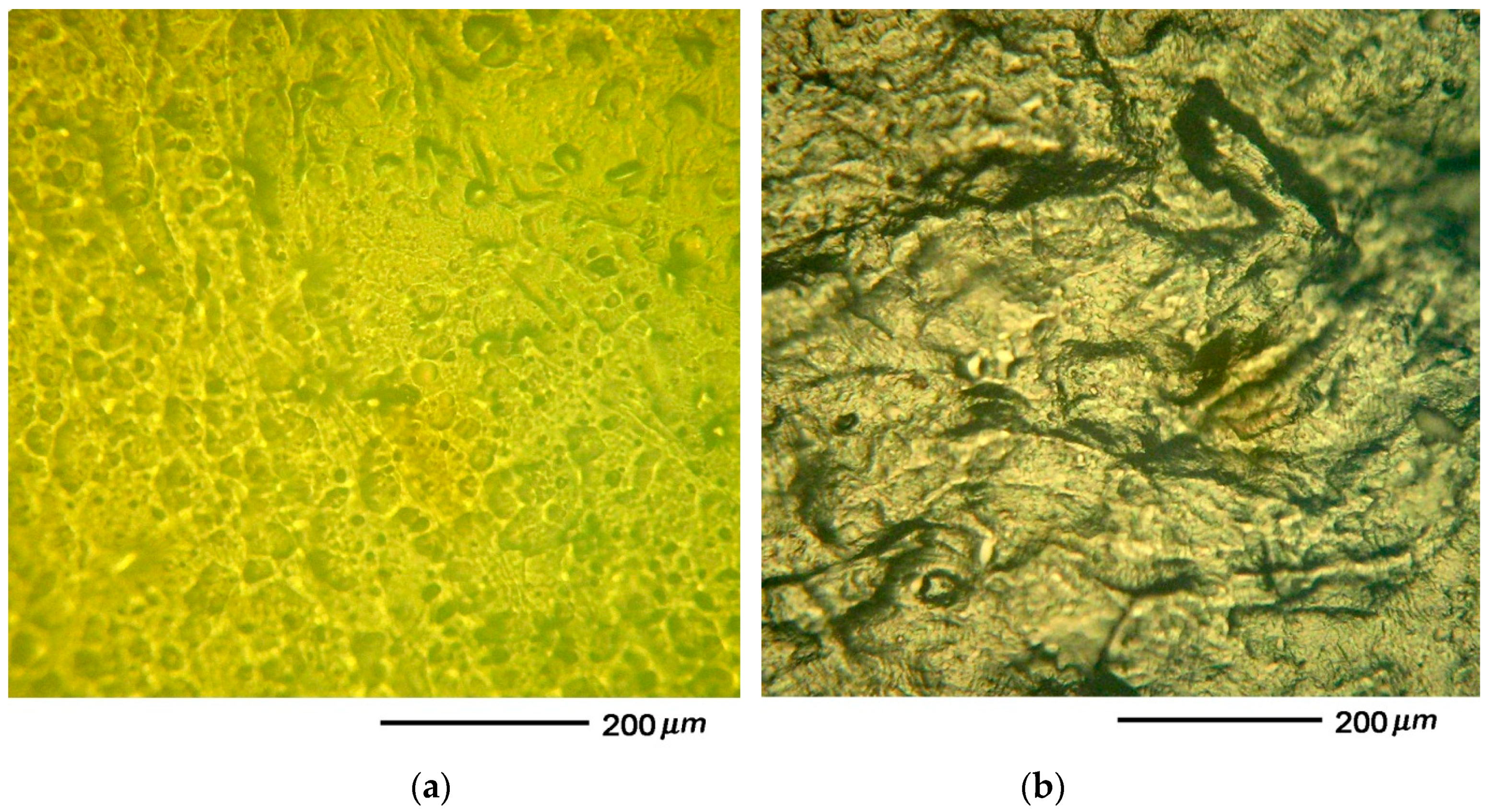 Materials 13 02302 g001 Materials 13 02302 g001