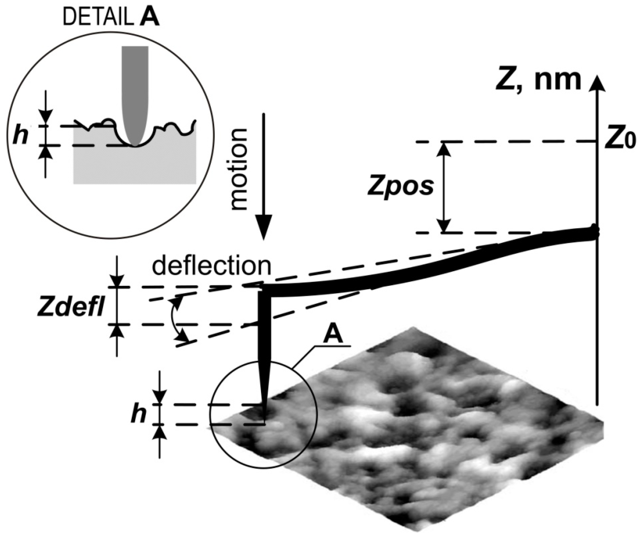 Materials 13 02302 g002 Materials 13 02302 g002
