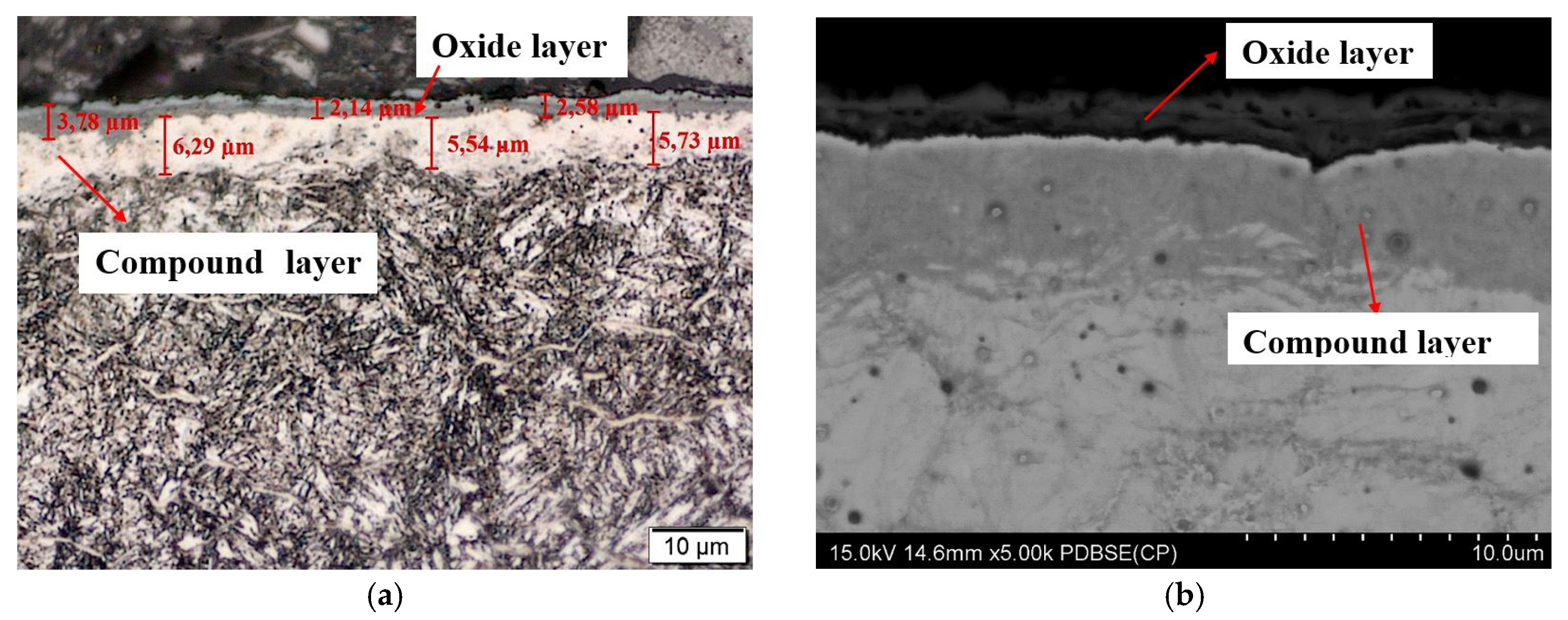 Materials 13 02311 g005