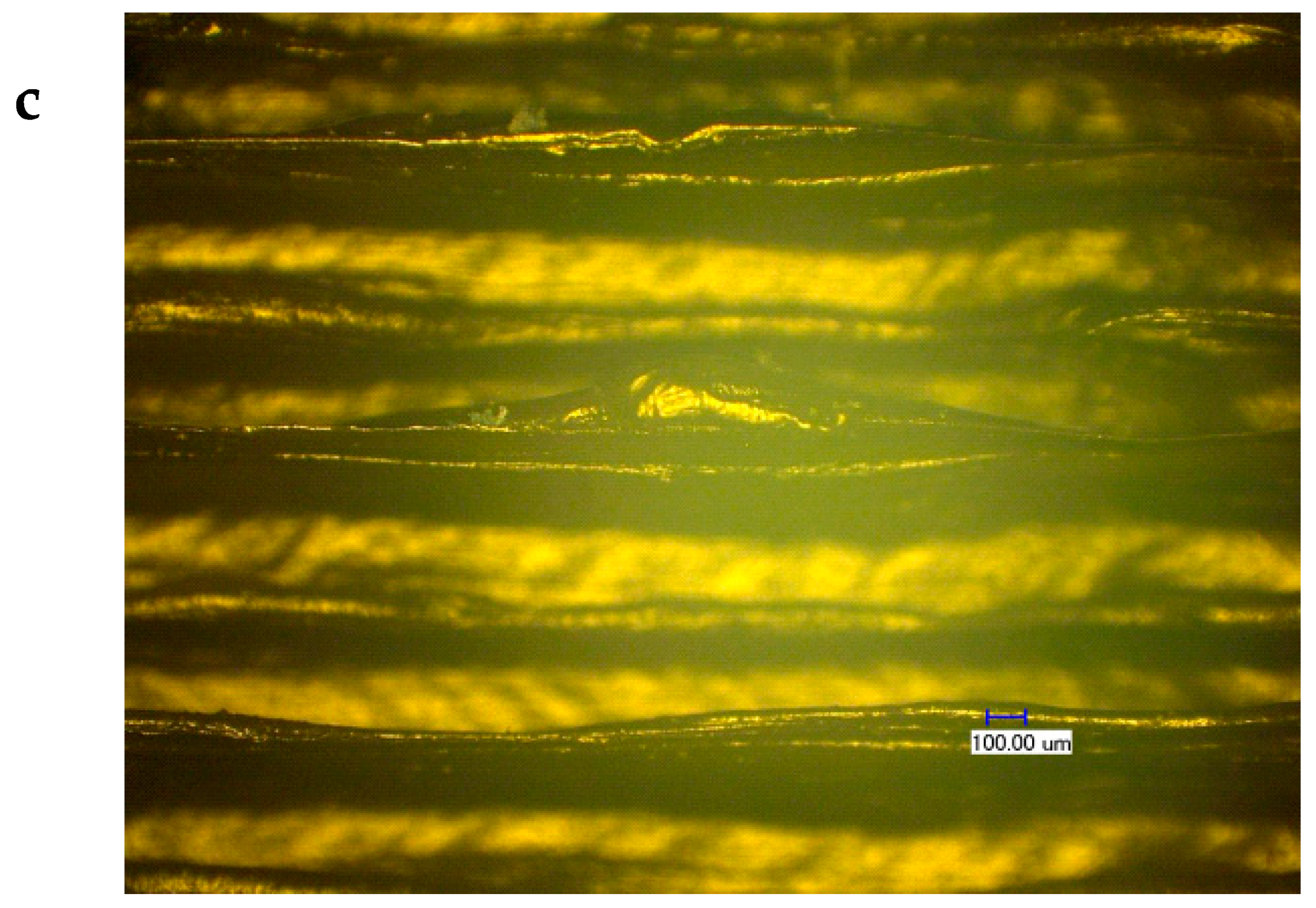 Materials 13 02314 g005b