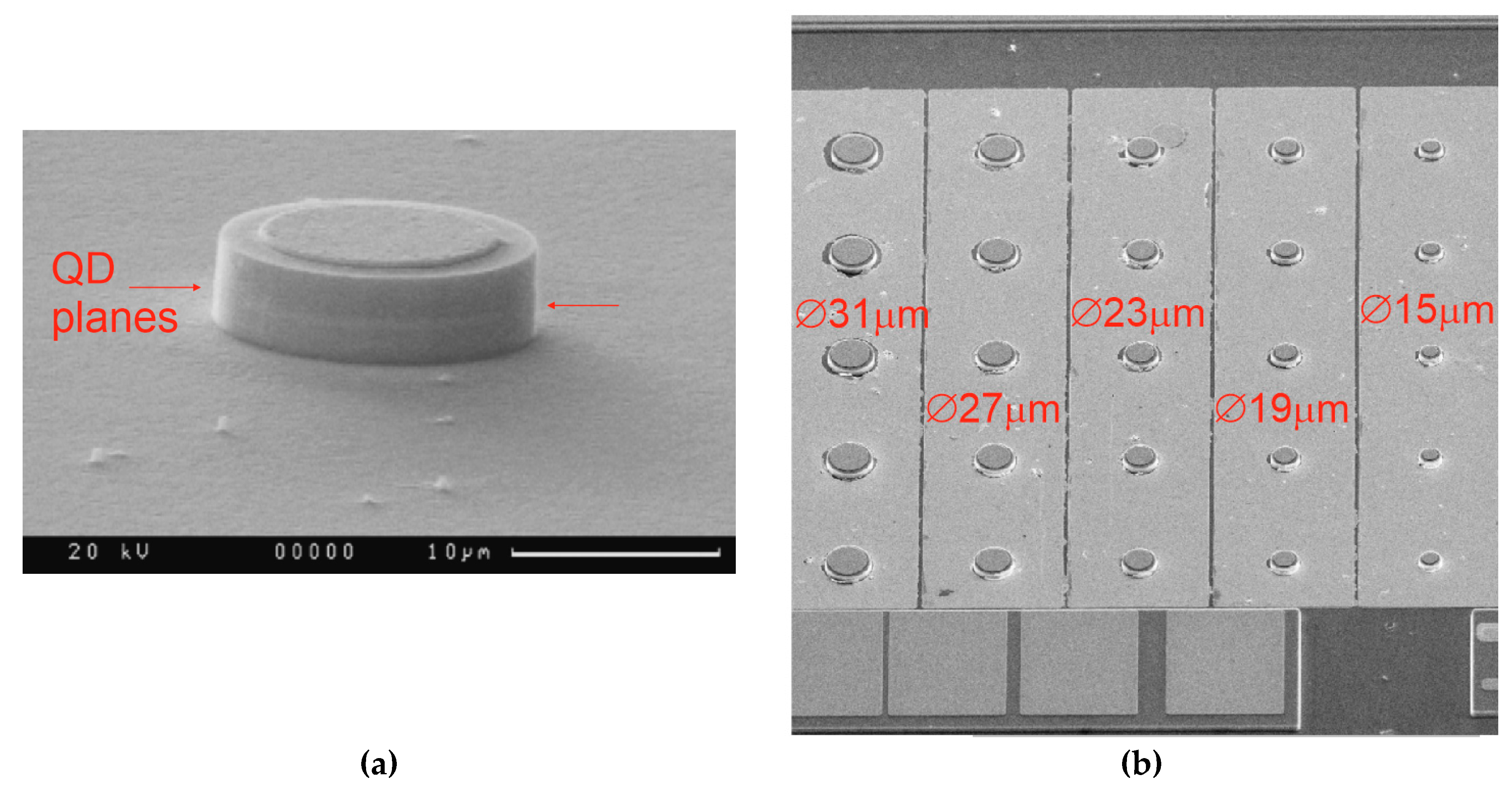 Materials 13 02315 g002 Materials 13 02315 g002