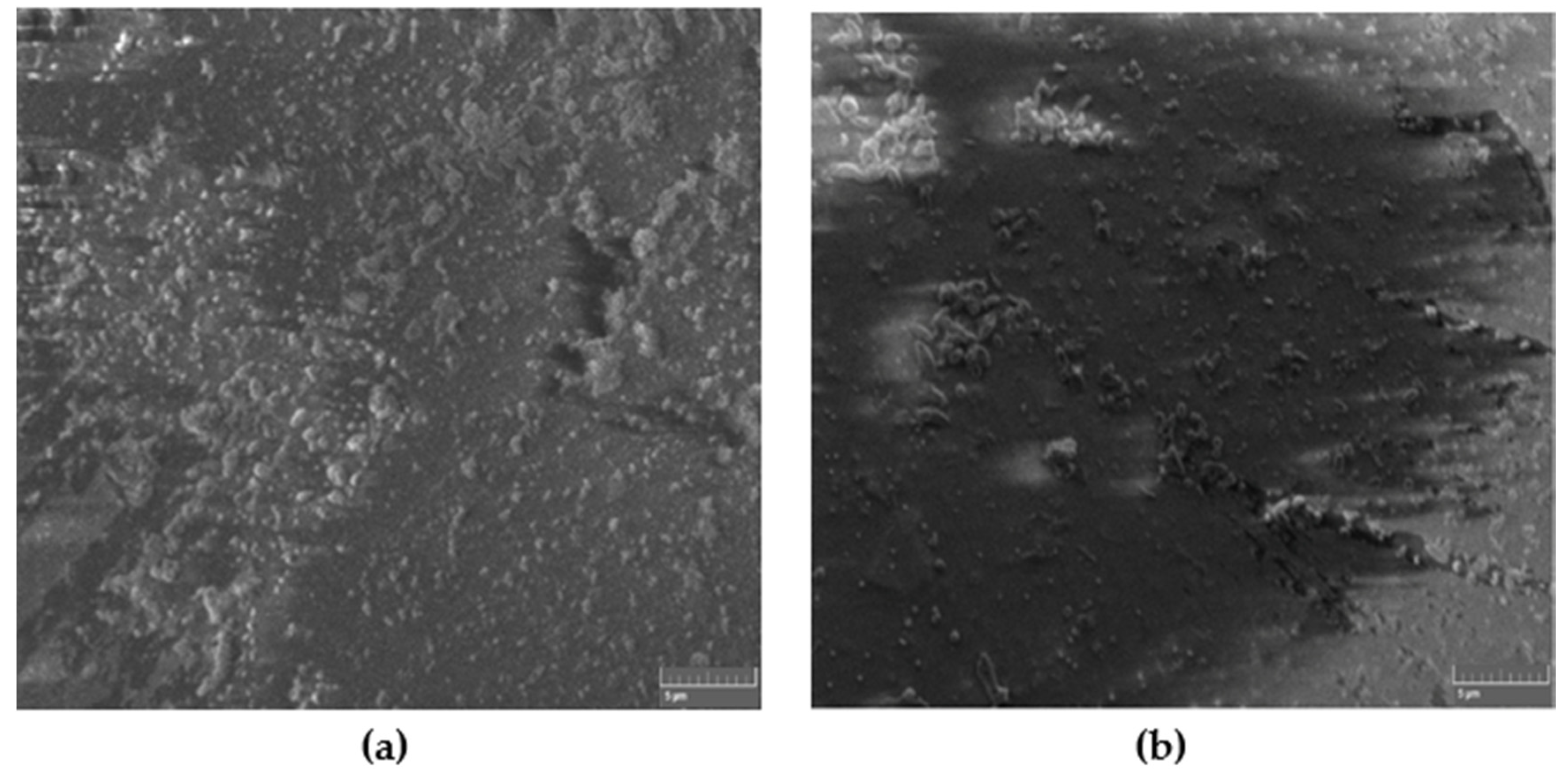 Materials 13 02323 g002 Materials 13 02323 g002