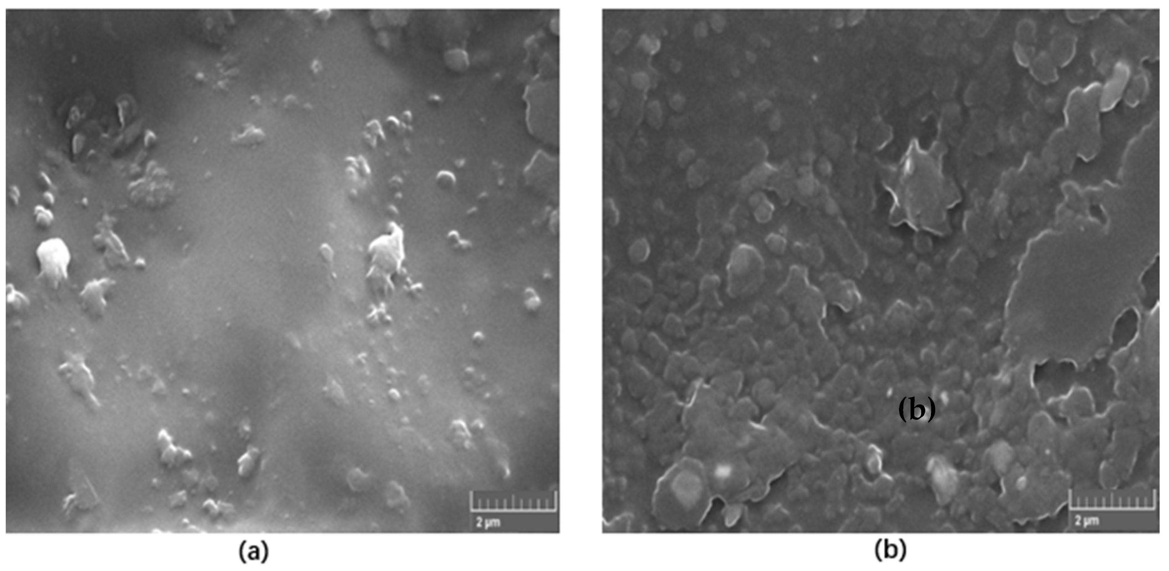 Materials 13 02323 g004 Materials 13 02323 g004