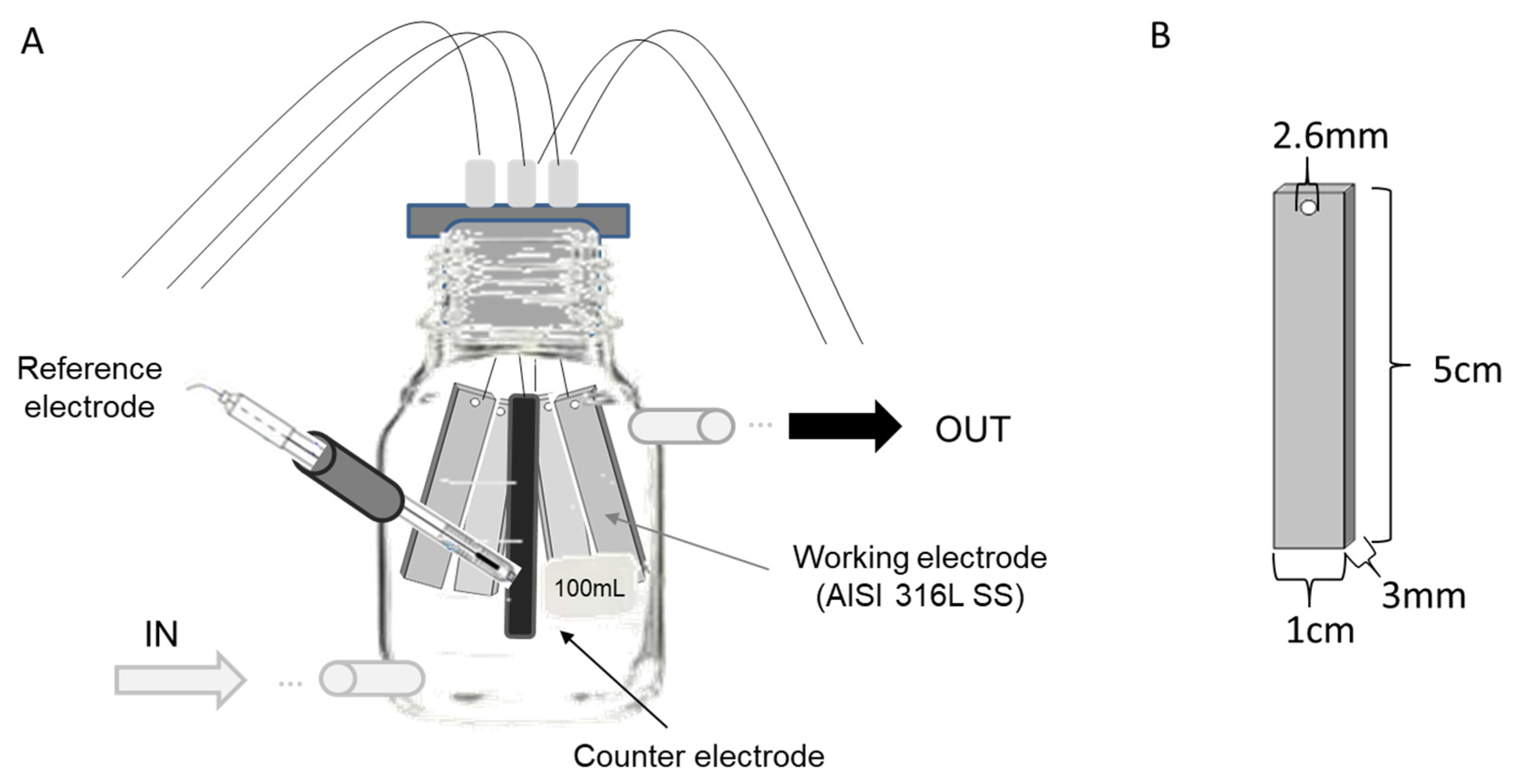 Materials 13 02327 g001 Materials 13 02327 g001
