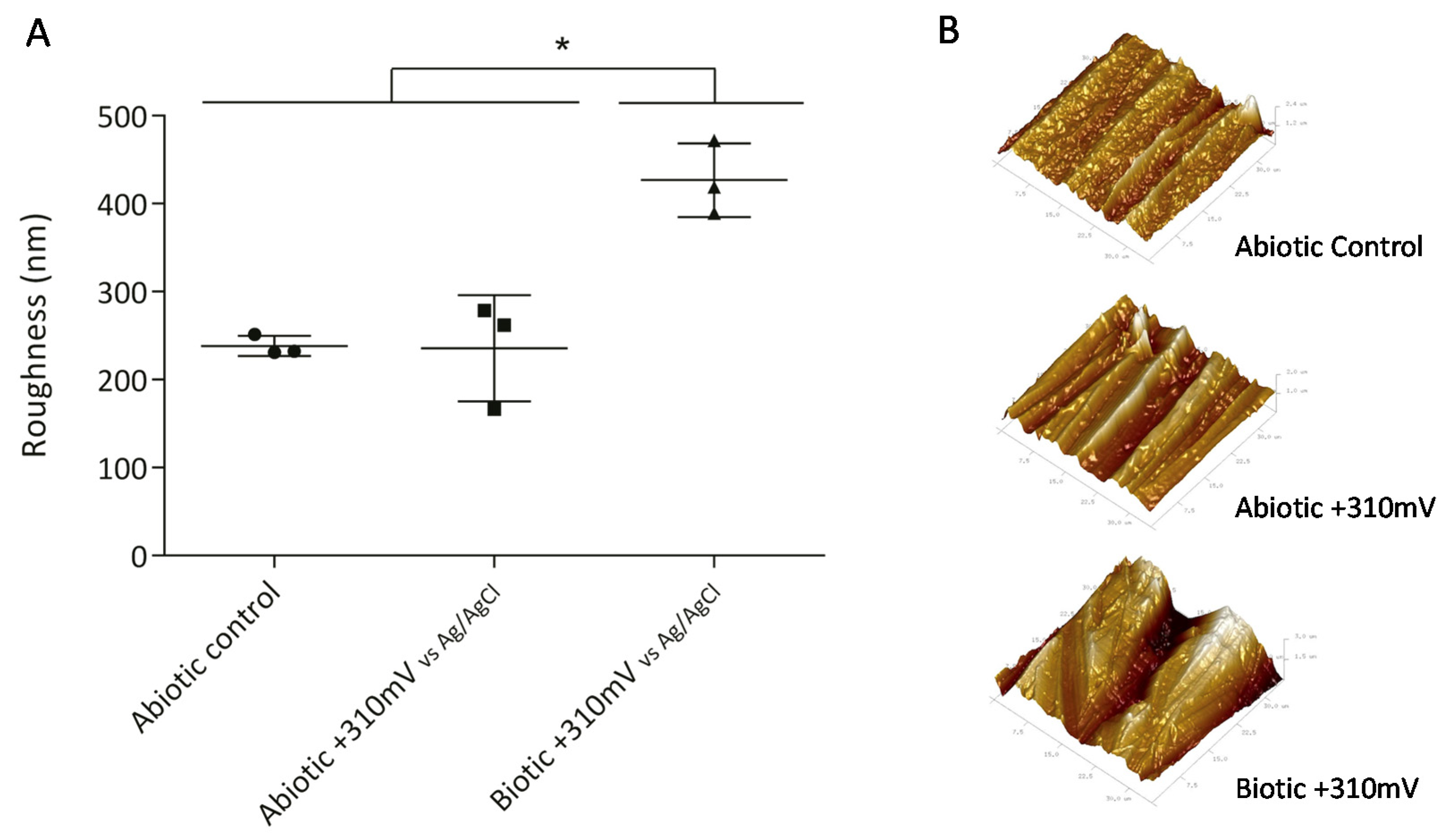 Materials 13 02327 g003 Materials 13 02327 g003