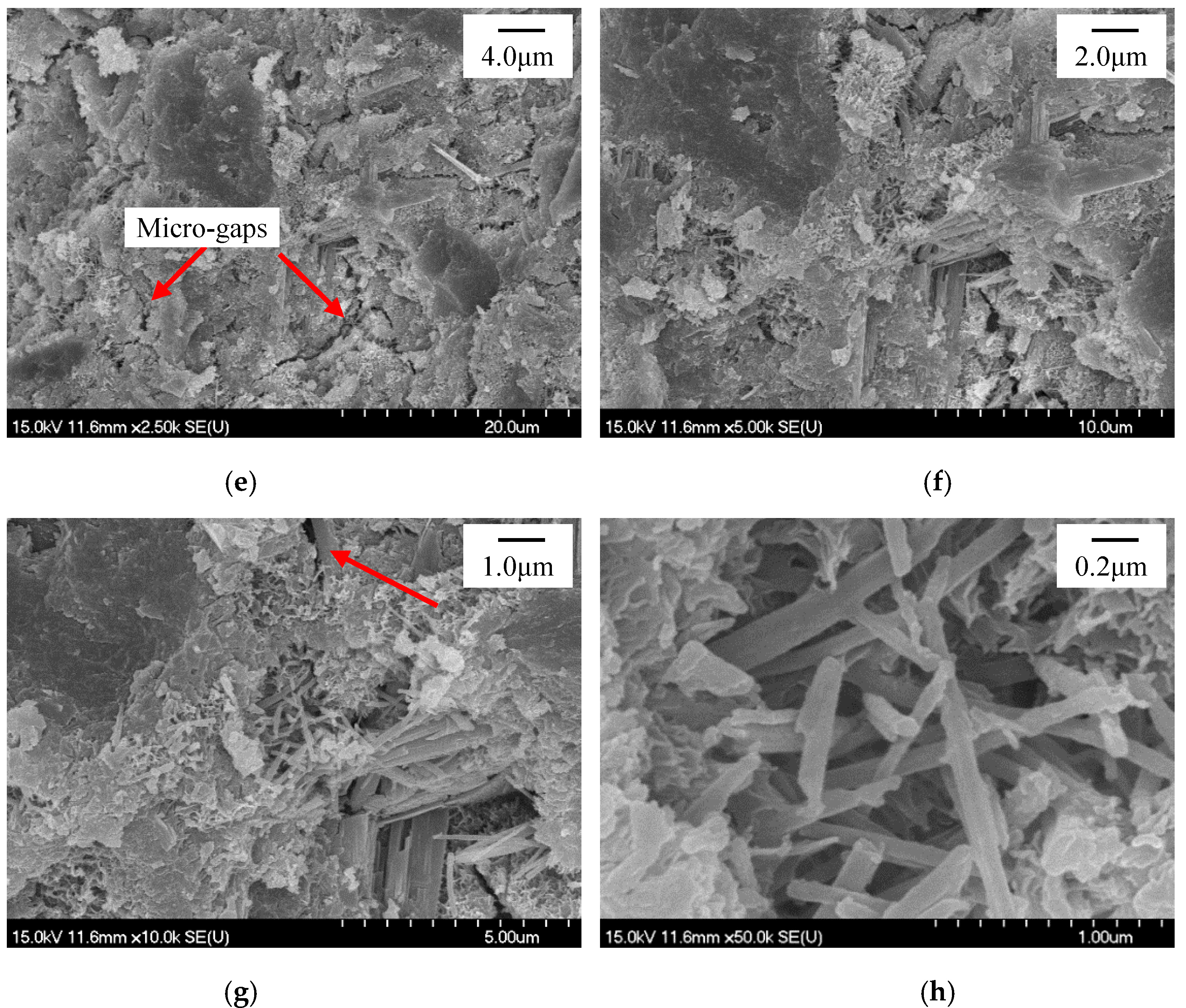 Materials 13 02345 g013b Materials 13 02345 g013b