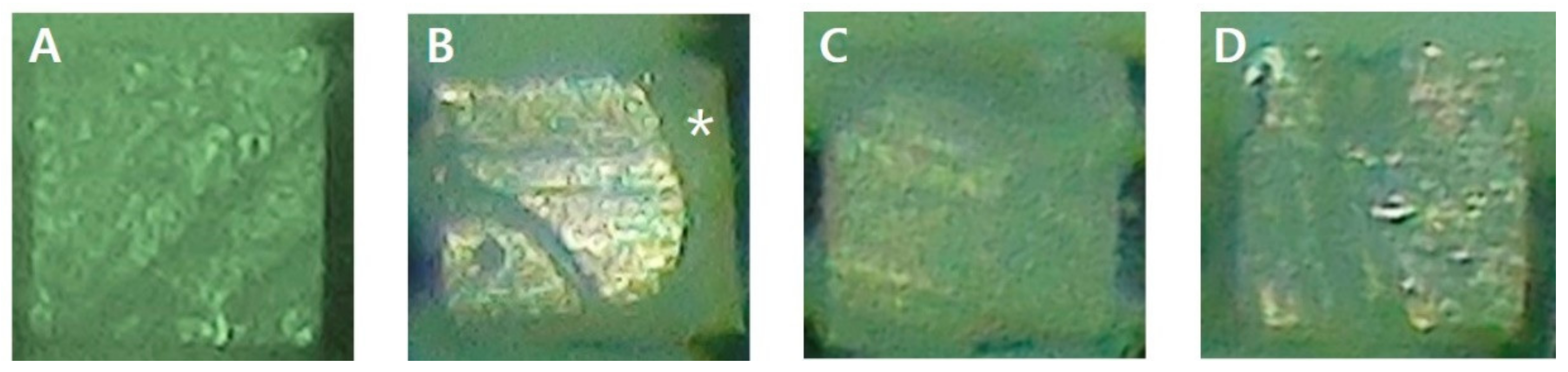 Materials 13 02353 g002