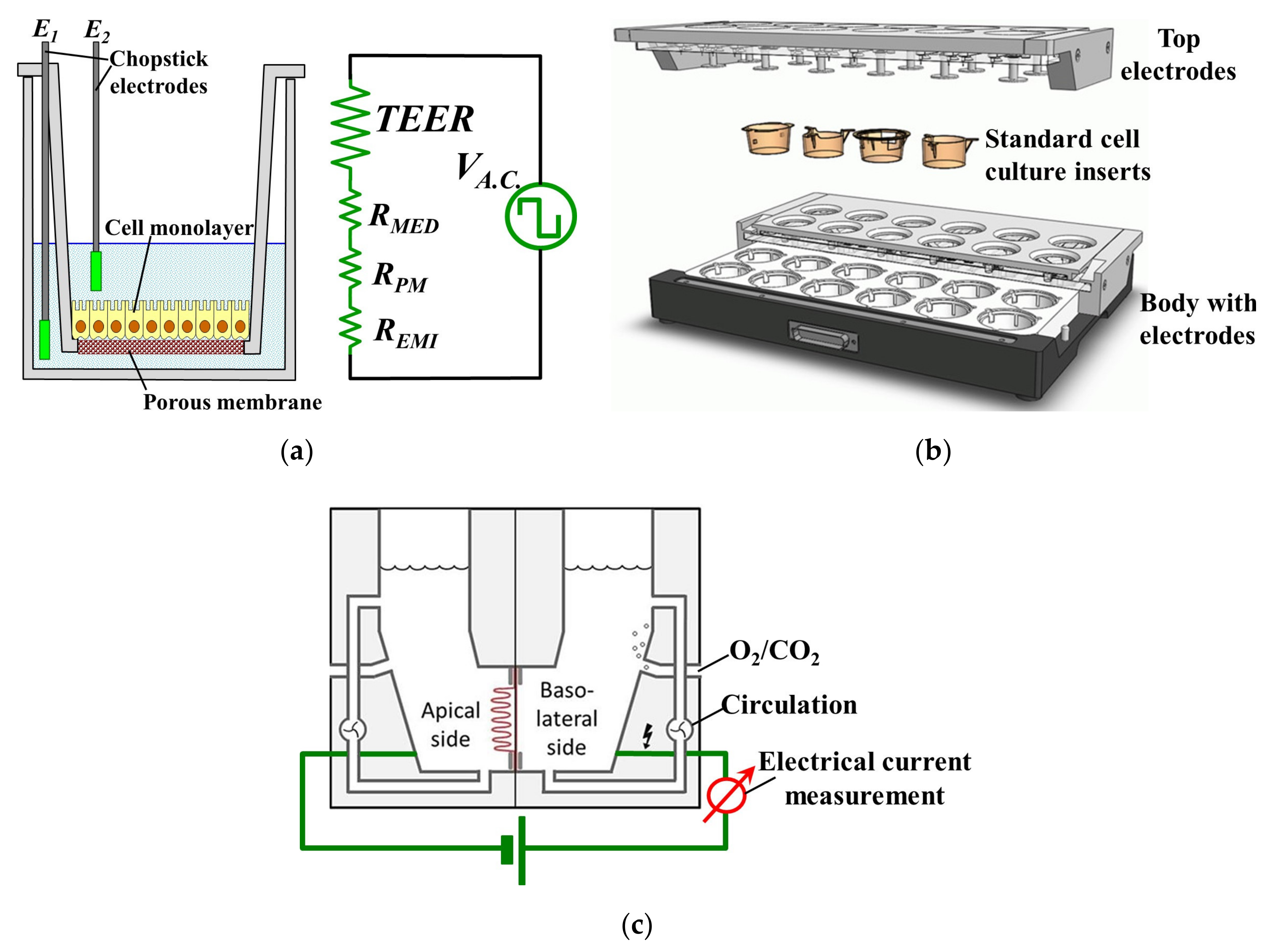 Materials 13 02354 g001