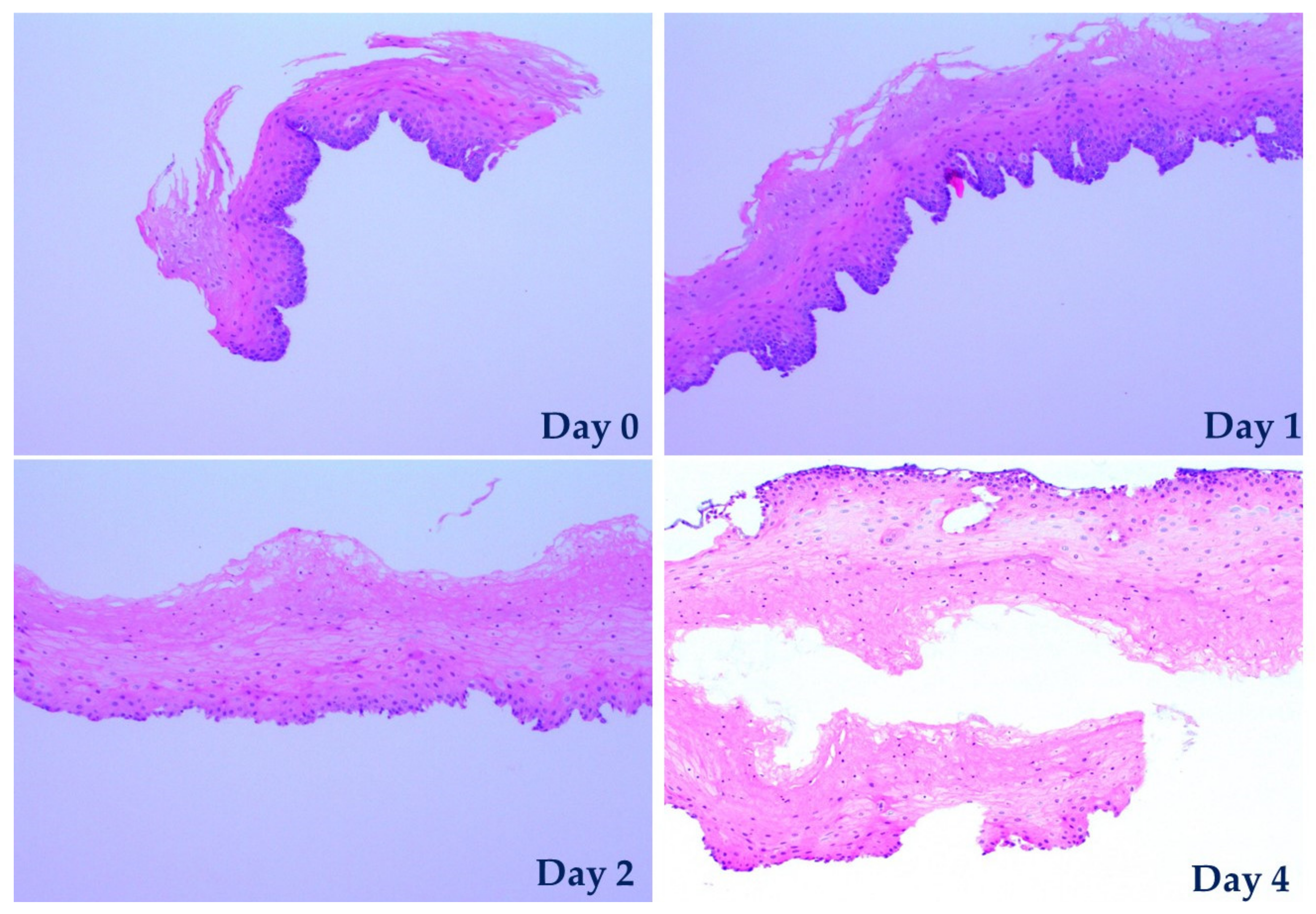 Materials 13 02354 g006