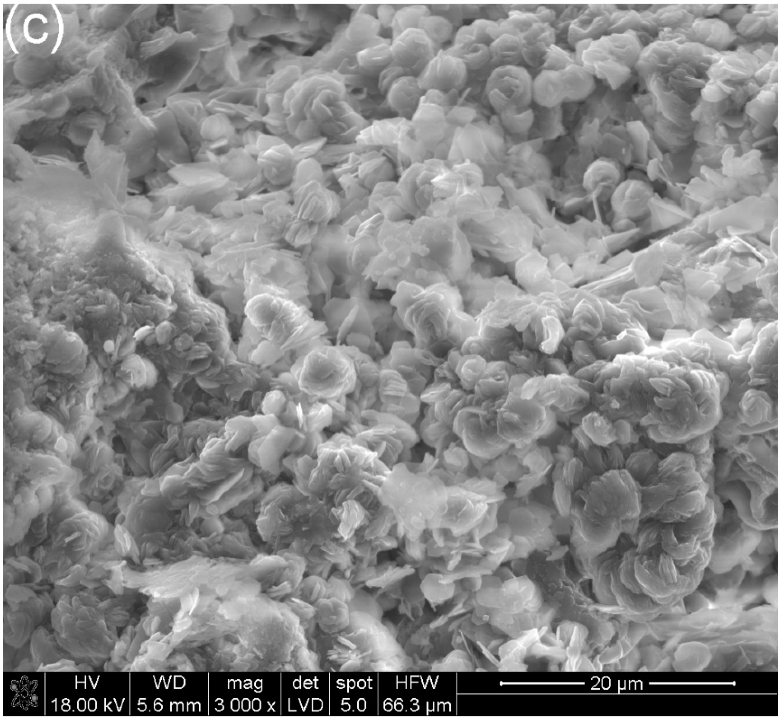 Materials 13 02366 g006b Materials 13 02366 g006b